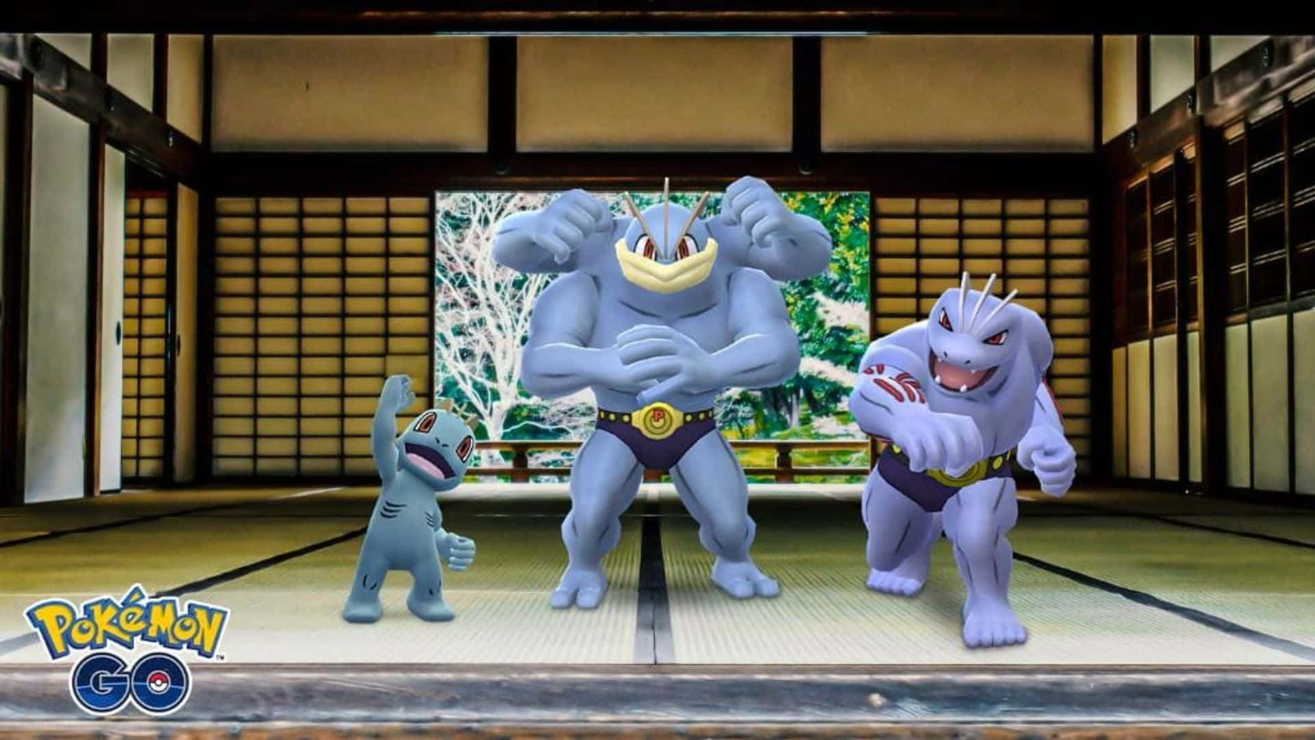 Machop、Machamp 與 Machoke 3D 寶可夢 壁紙 — 三個寶可夢角色在傳統日本道場內，以榻榻米和障子屏風為背景，擺出動態姿勢。