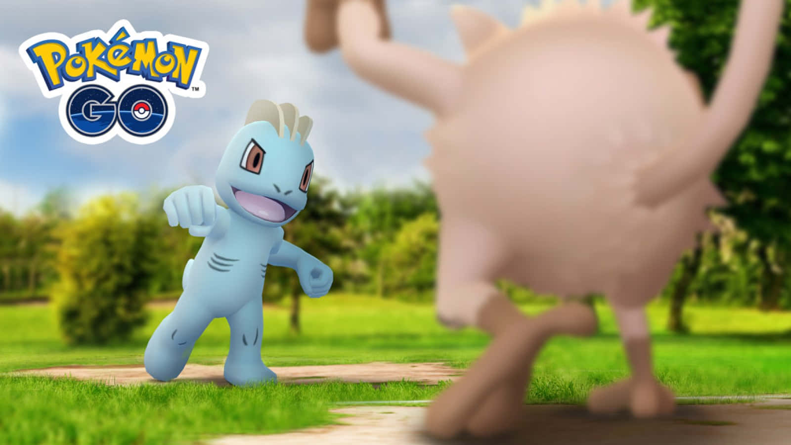 Machop 與 Pokemon Go 標誌 壁紙 — 一隻開心的藍色寶可夢站在一條草地上嘅小徑上，面對住一隻大而模糊嘅粉紅色寶可夢，喺一個陽光普照嘅戶外場景。
