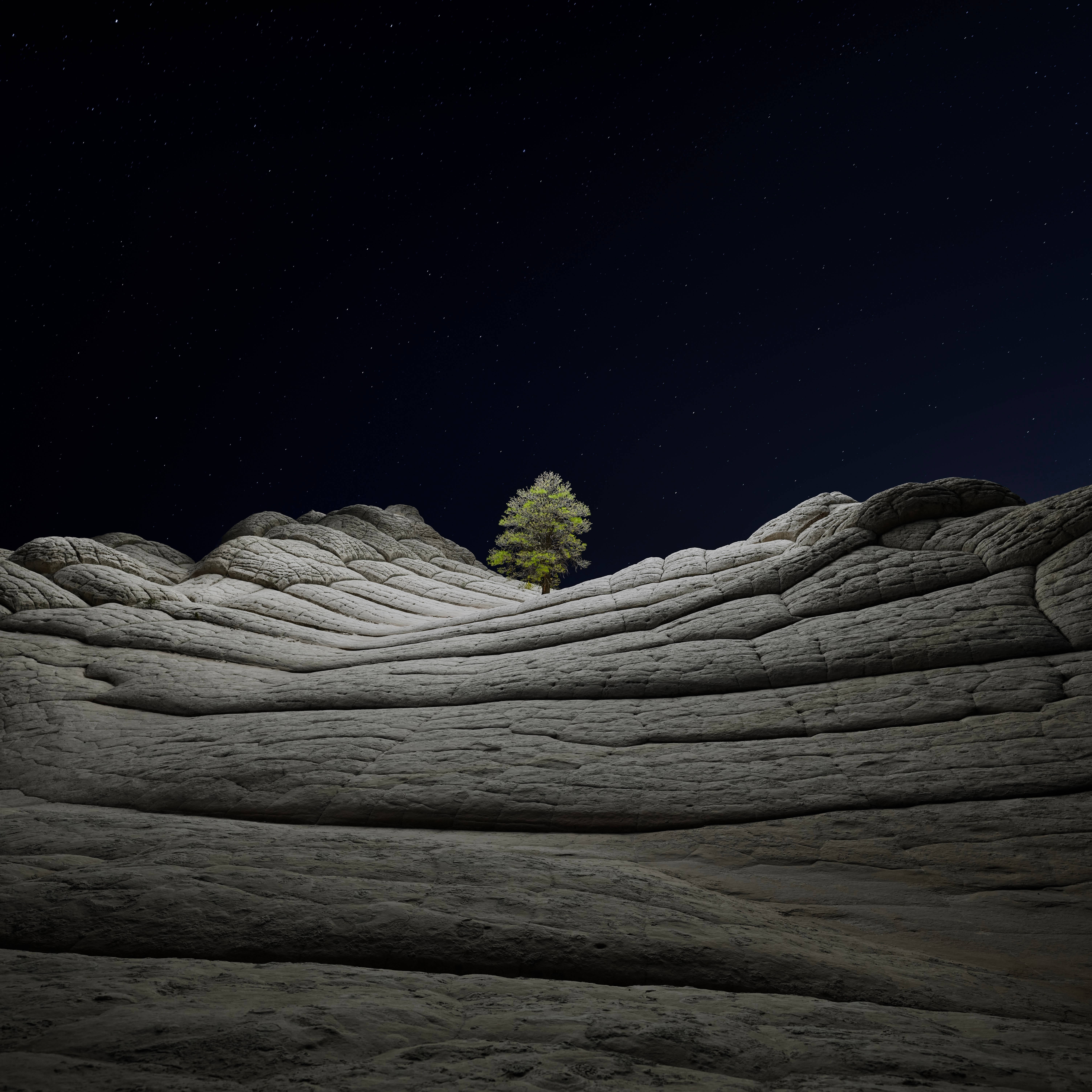 macOS Big Sur 樹木 壁紙 — 一棵孤樹堅韌地矗立在紋理岩石層上，星空下。