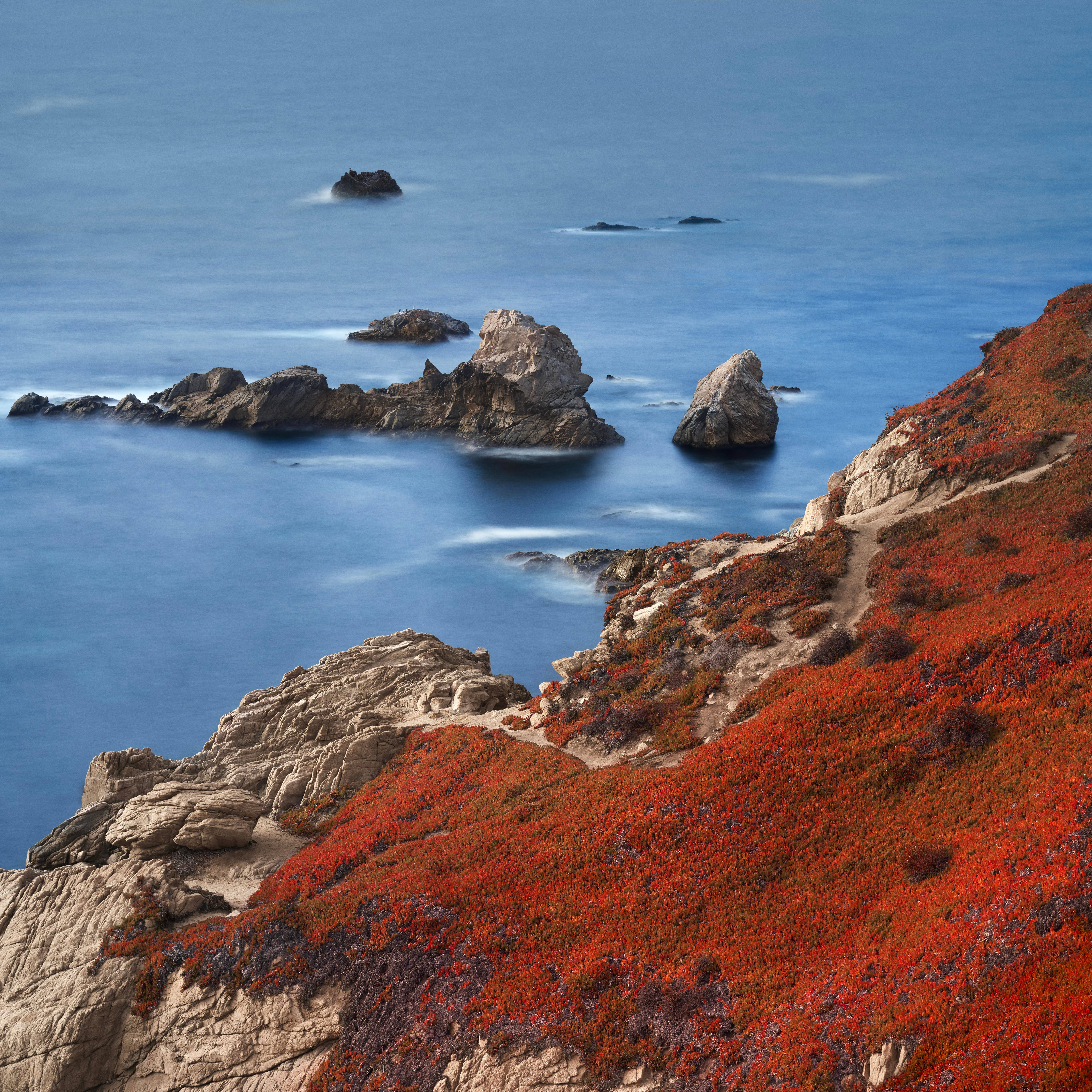 macOS Big Sur 海景 壁紙 — 鮮豔的紅色海岸灌木覆蓋著崎嶇的懸崖，俯瞰著平靜的藍色海洋，水面平滑，散落著岩石 formations。