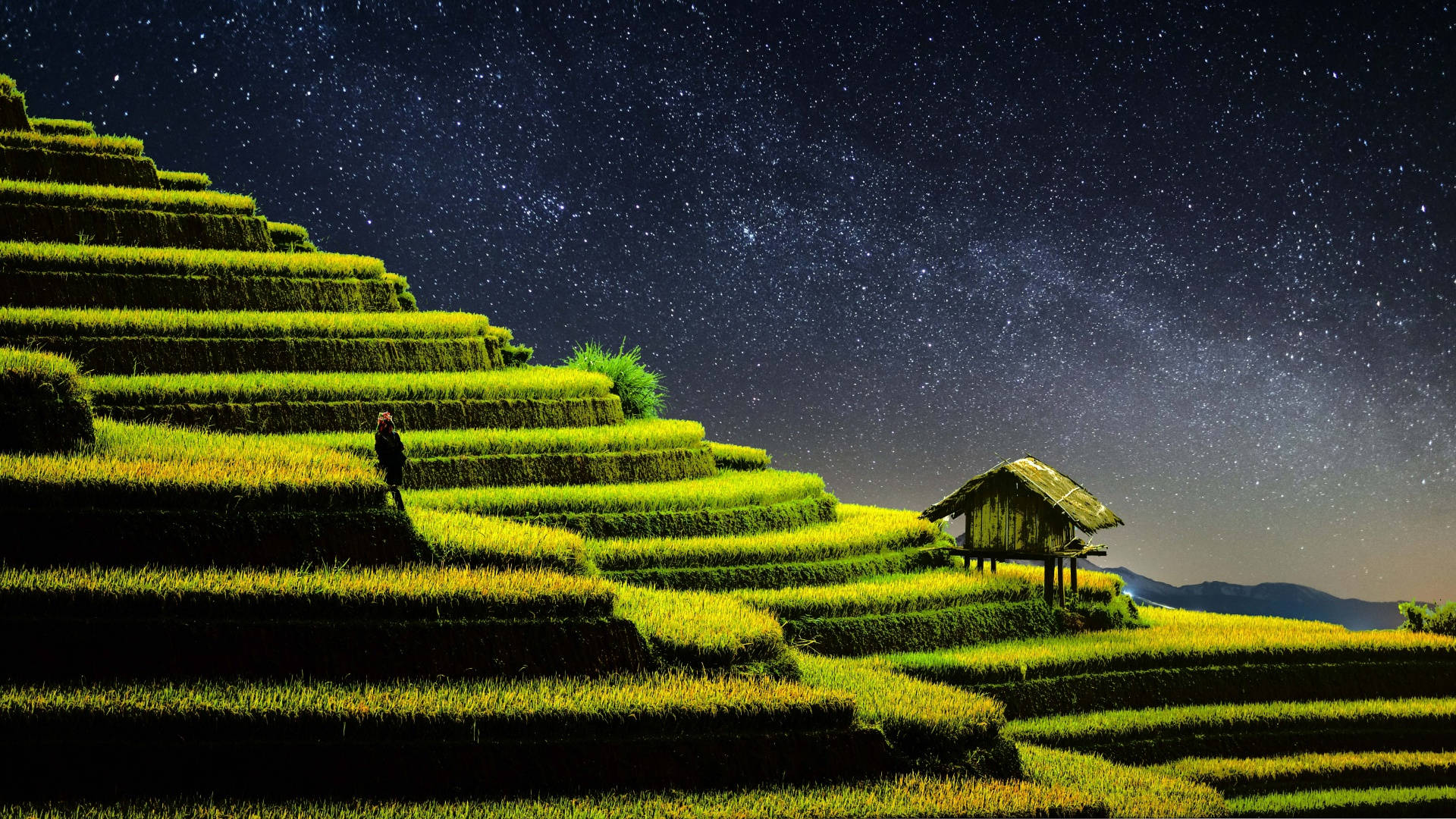 一個人站在星空下被照亮的梯田上，靠近一座木屋。