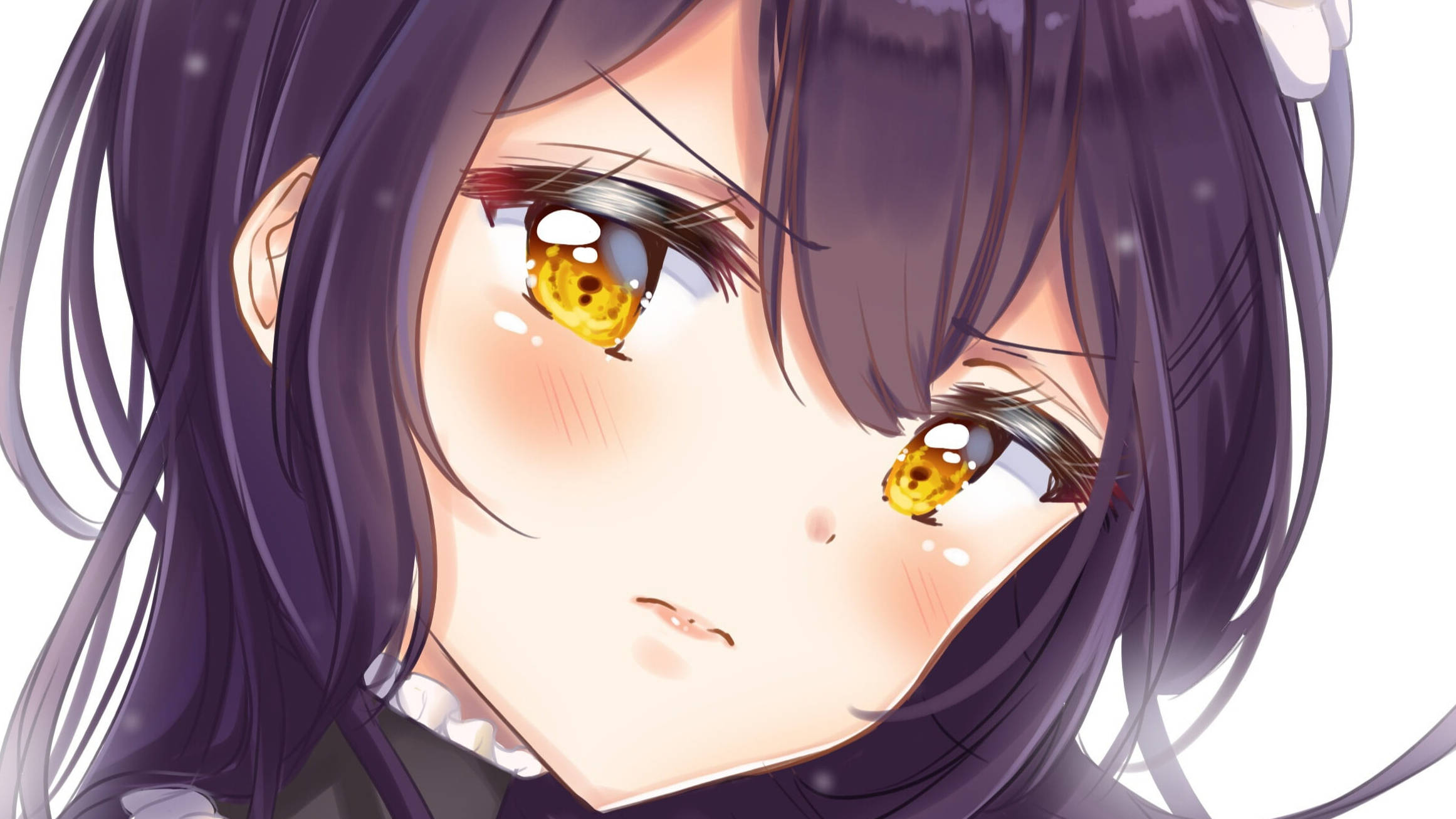 《 Maid Sama 》愛崎美咲琥珀雙眸 壁紙 — 特寫動漫女孩，紫色頭髮，金色眼睛，在明亮的白色背景下微微臉紅。