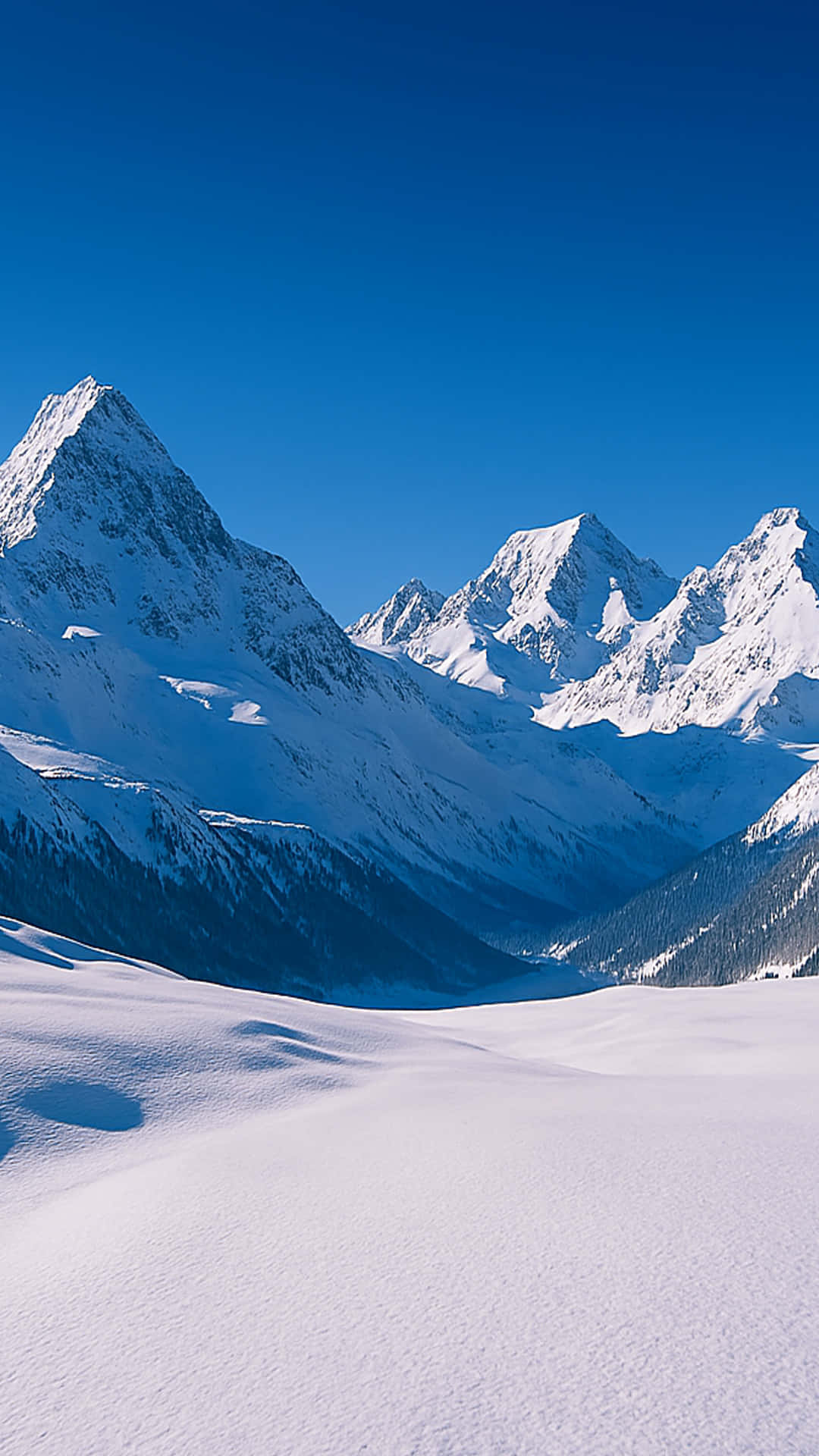 晴朗藍天下白雪覆蓋的山脈，前景為雪地