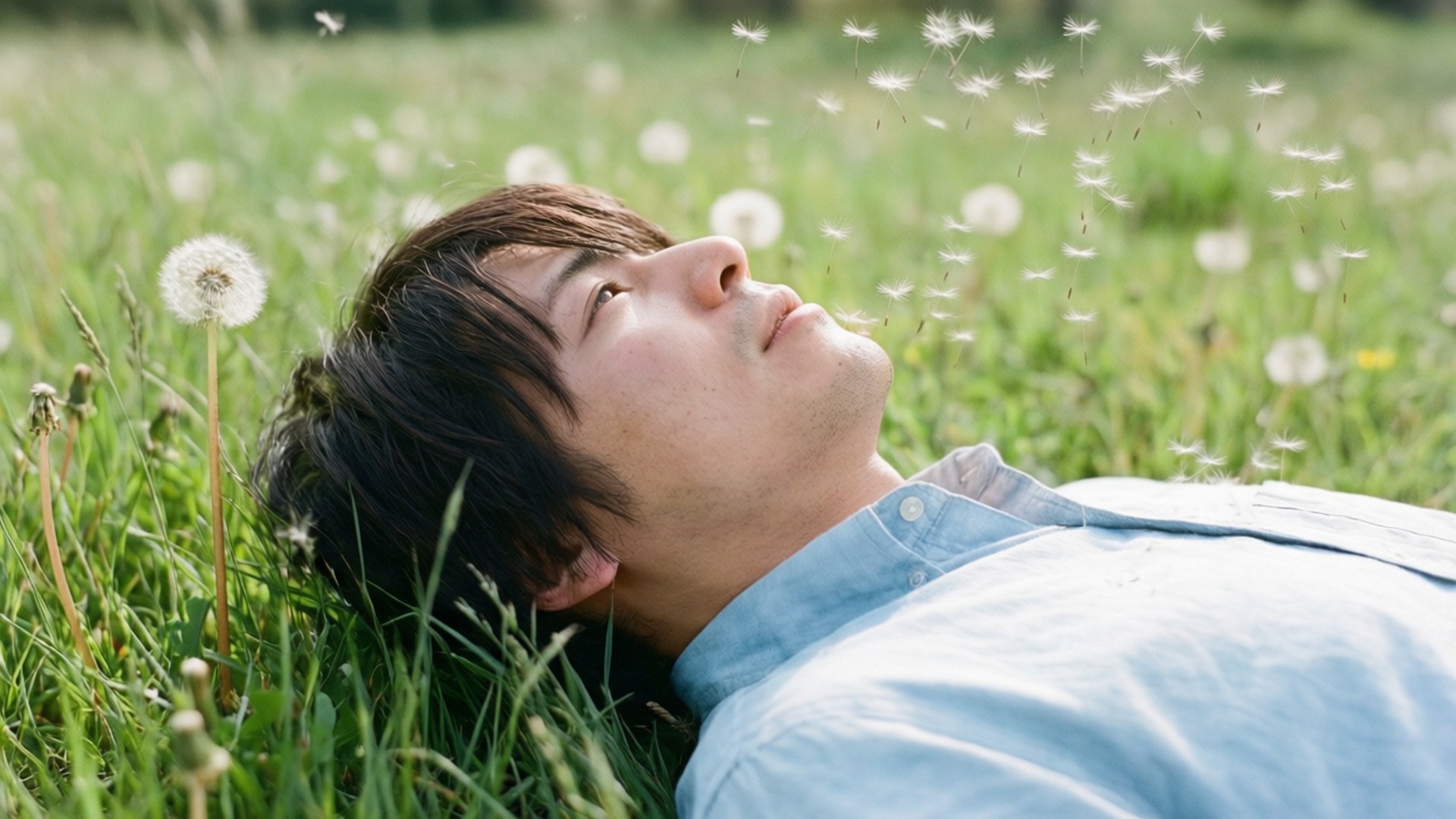 男人在草地上休息，吹著蒲公英種子