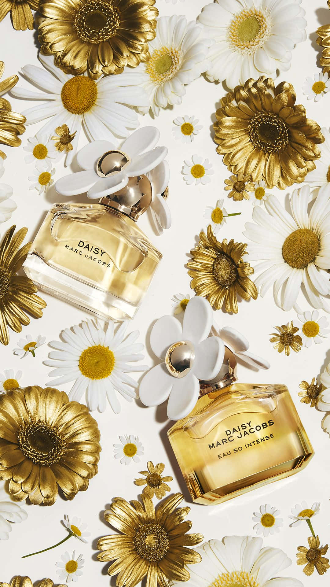 Marc Jacobs 背景 壁紙