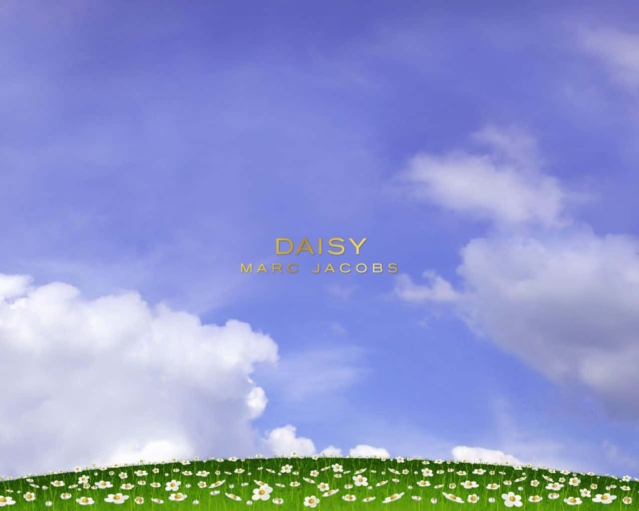 Marc Jacobs 背景 壁紙