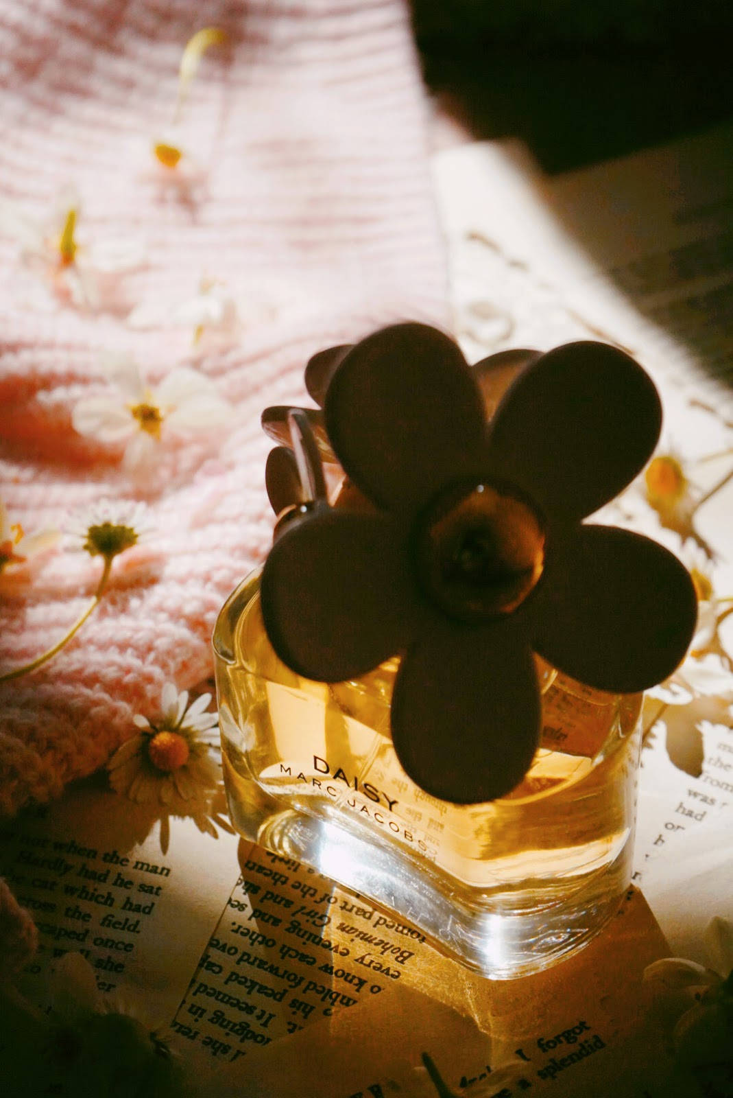 Marc Jacobs奢華香水 壁紙 — 一個帶有花朵瓶蓋的 Marc Jacobs Daisy 香水瓶放在打開的書頁上，旁邊有一條粉紅色針織毯子和散落的雛菊。