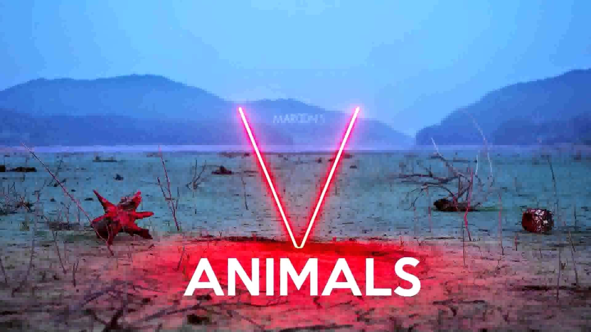 紅色霓虹燈 V 和 ANIMALS 文字在黃昏時分的荒蕪沙漠上閃爍，背景有山脈。