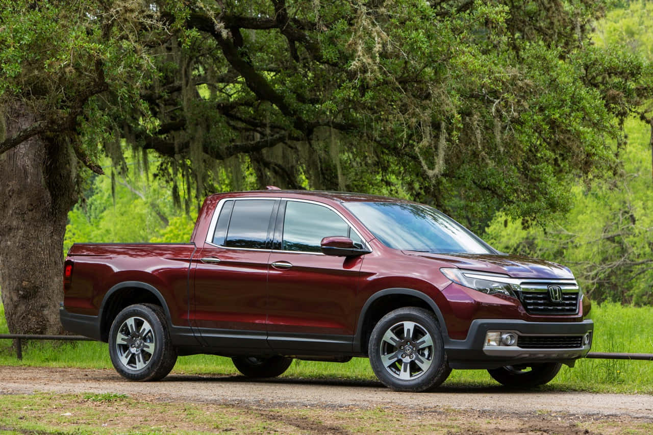 Honda Ridgeline 桌布 壁紙 — 一架栗色本田 Ridgeline 皮卡車停泊在茂密綠色森林中一條泥濘小徑上，上方是一棵佈滿苔蘚的大樹。