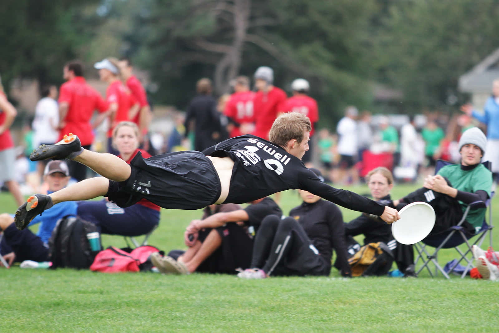 Matt Skip Sewell 最佳 Ultimate Frisbee 背景 壁紙 — 一名身穿黑色球衣的男運動員在半空中飛身接住一個白色飛盤，背景是草地和觀眾。