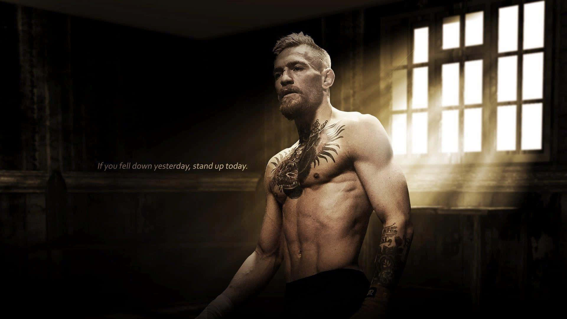 McGregor 桌布 - McGregor 桌布 壁紙