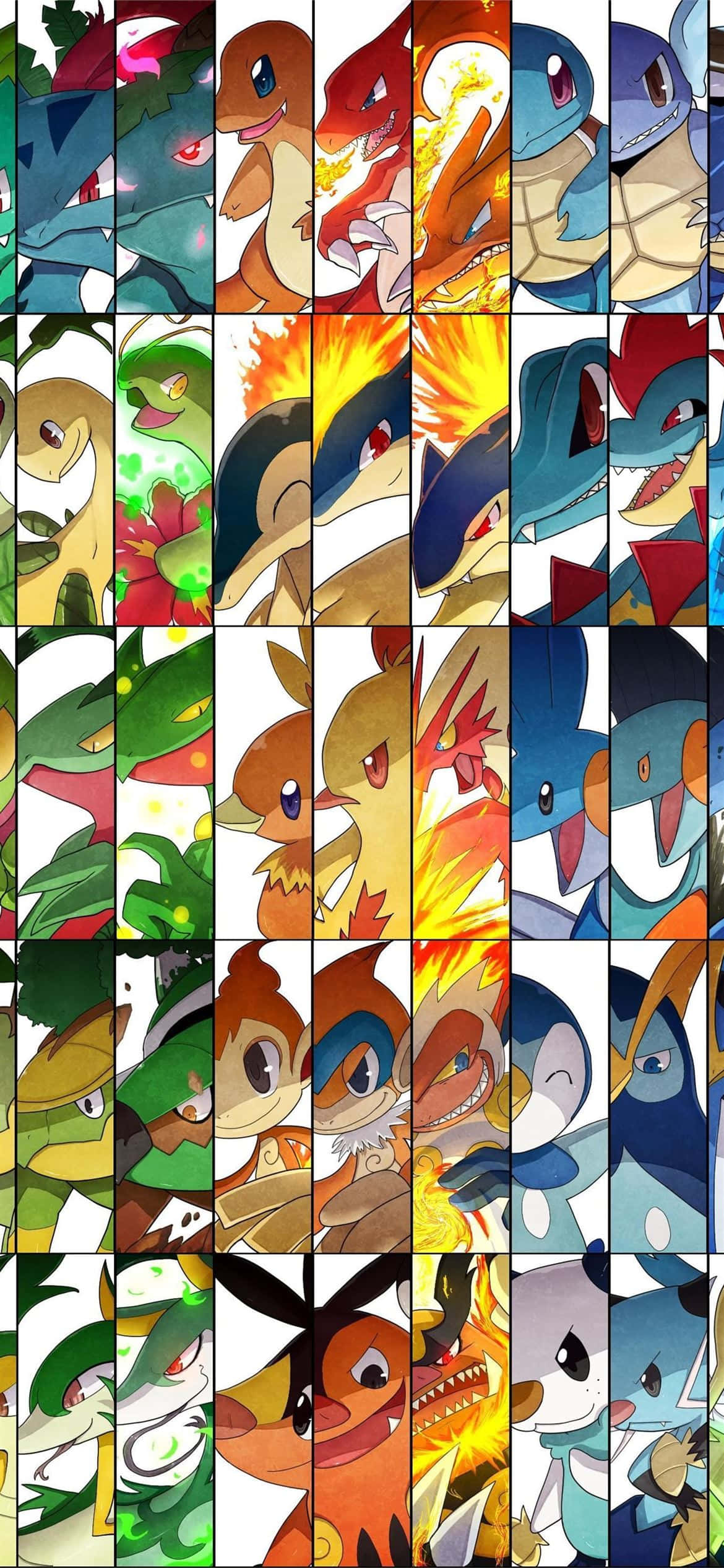 寶可夢進化拼貼畫，展現 Meganium 壁紙 — 一個充滿活力的網格，展示了進化形態的寵物小精靈角色，每個角色佔據一個垂直面板，帶有動態姿勢和火焰能量效果。