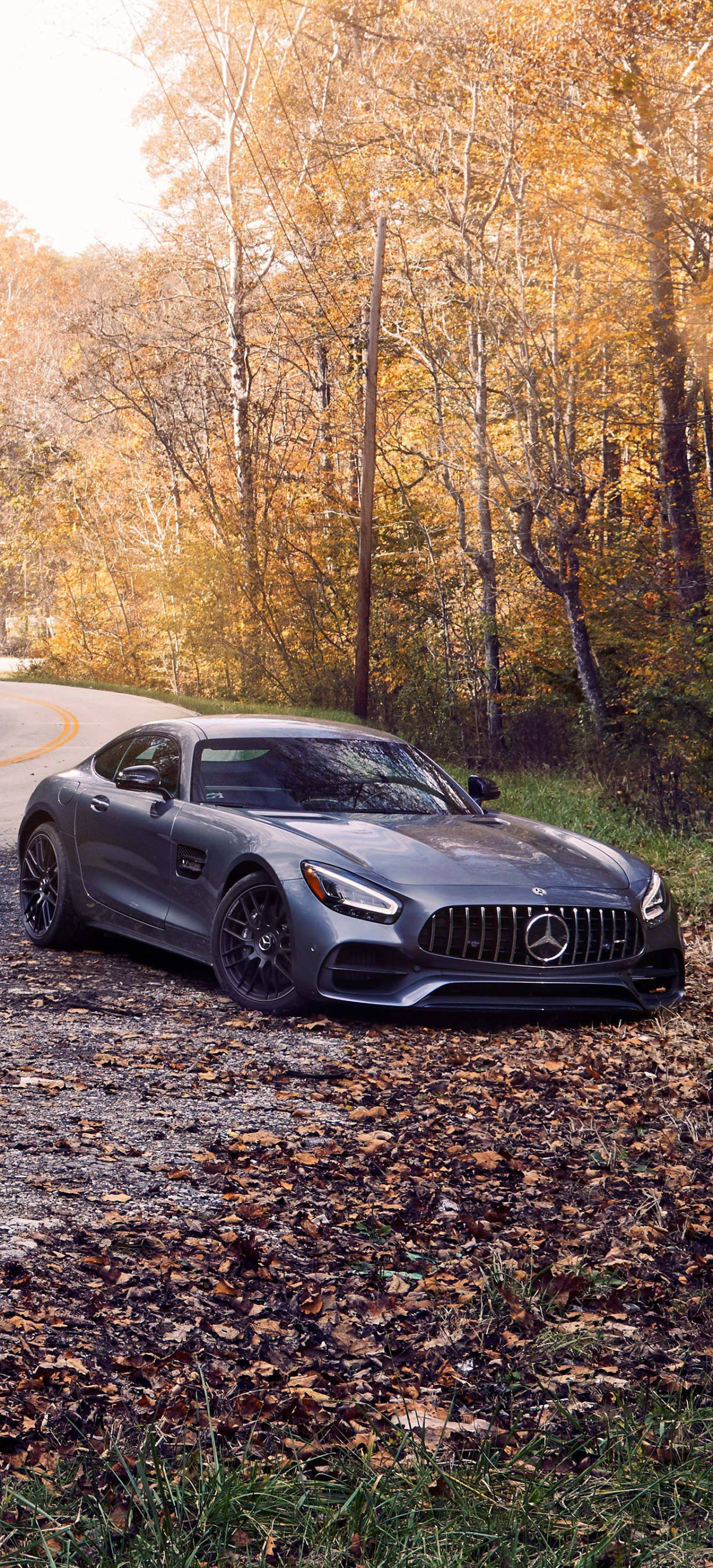 Mercedes AMG 秋葉 iPhone 壁紙 — 一架型格灰色Mercedes-AMG GT停泊在鋪滿落葉、兩旁金黃秋樹的林間道路上。