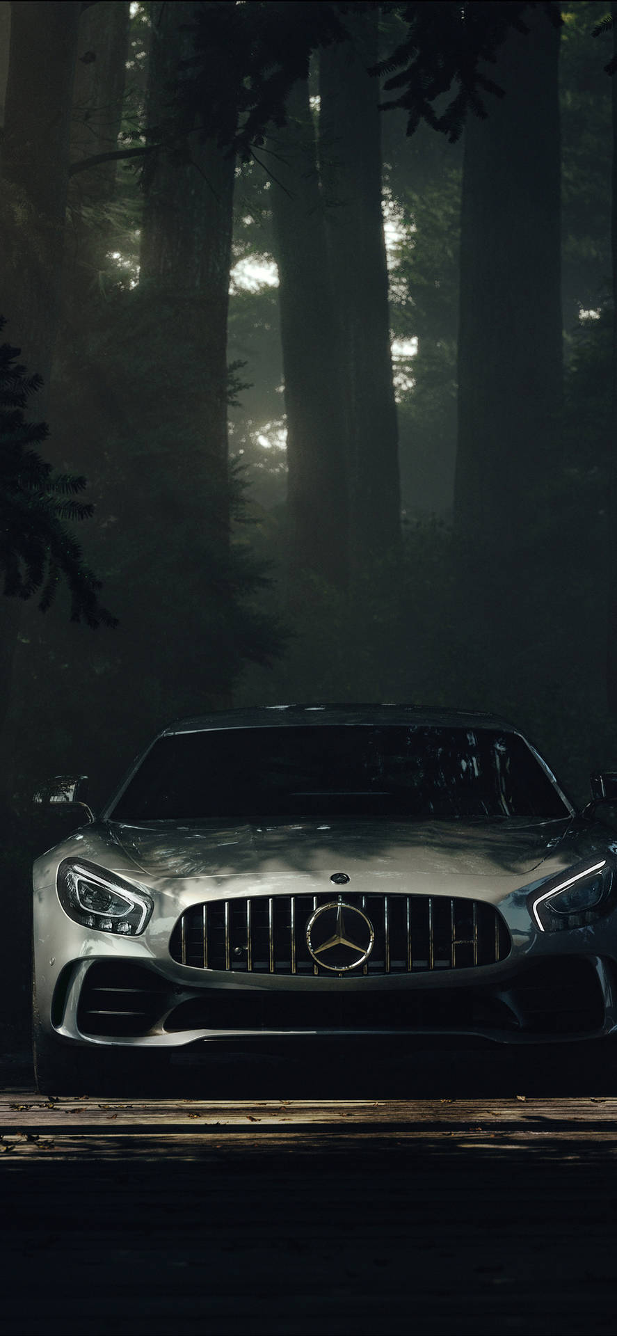 暮色中霧氣繚繞的森林裡的銀色 Mercedes-AMG GT。