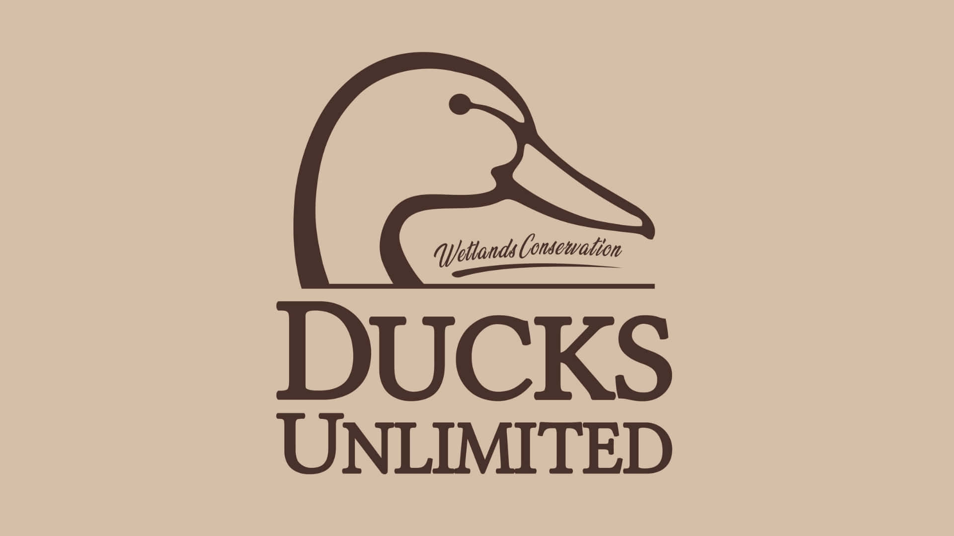  壁紙 — 米色背景上，鴨頭極簡棕色標誌，下方有Ducks Unlimited文字。