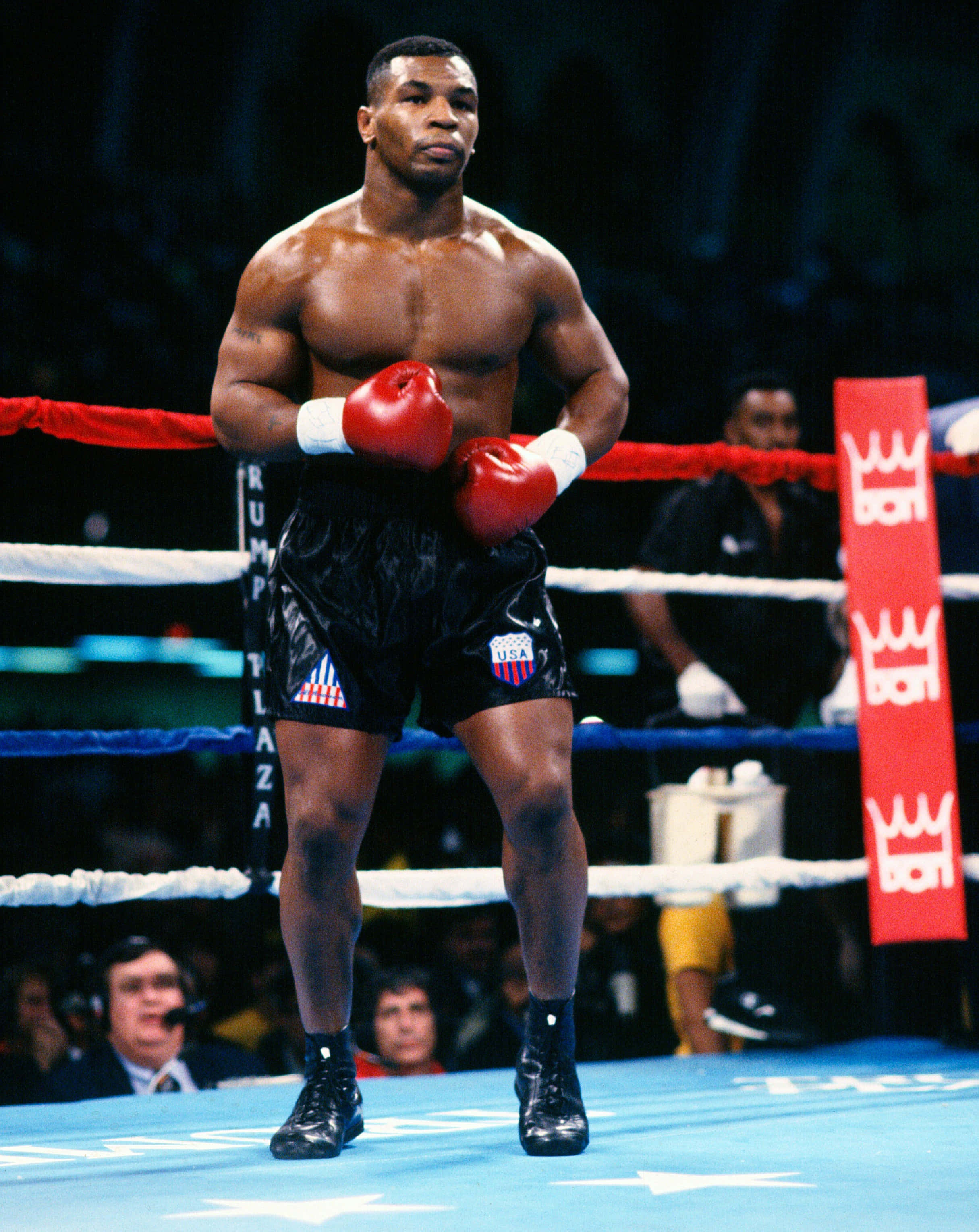 mike tyson 桌布 壁紙 — Mike Tyson 在明亮的場館燈光下，於拳擊台上擺好姿勢，戴著紅色手套，身穿帶有美國國旗徽章的黑色短褲。