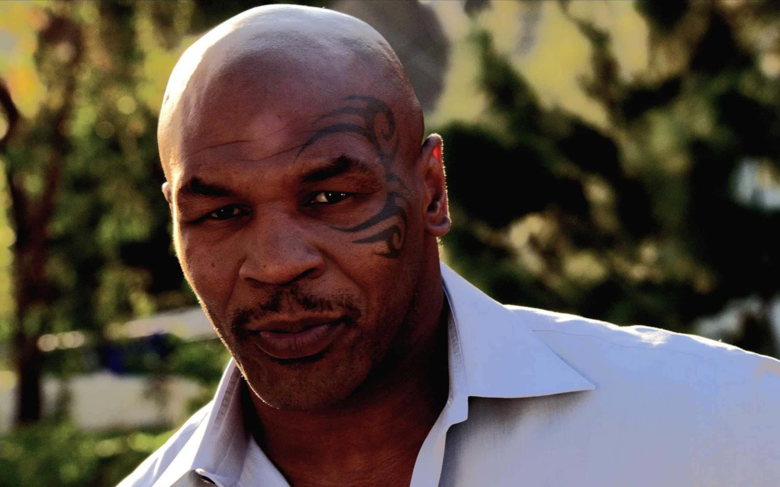 mike tyson 桌布 壁紙 — Mike Tyson 專注地凝視，臉頰上有紋身，背景是陽光普照的綠色。