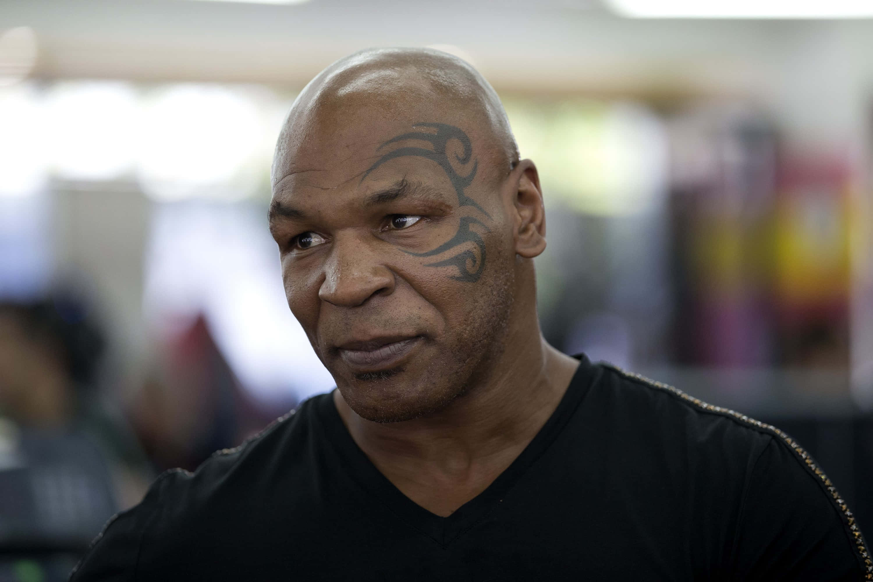 mike tyson 桌布 壁紙 — Mike Tyson 專注地凝視，光頭上可見部落圖騰紋身，背景是柔和模糊的室內環境。