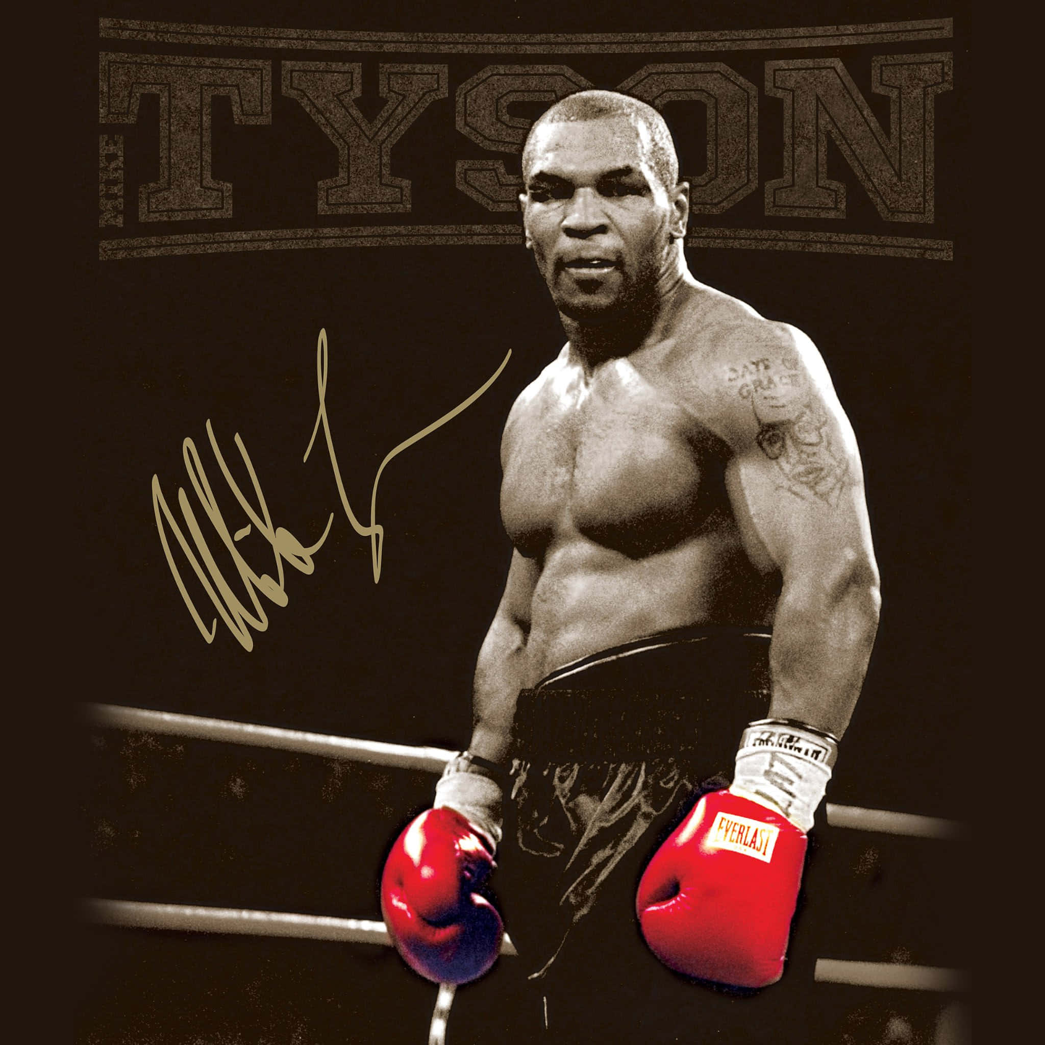mike tyson 桌布 壁紙 — Mike Tyson 站在拳擊擂台上，戴著紅色手套，他的簽名和名字顯示在上方。