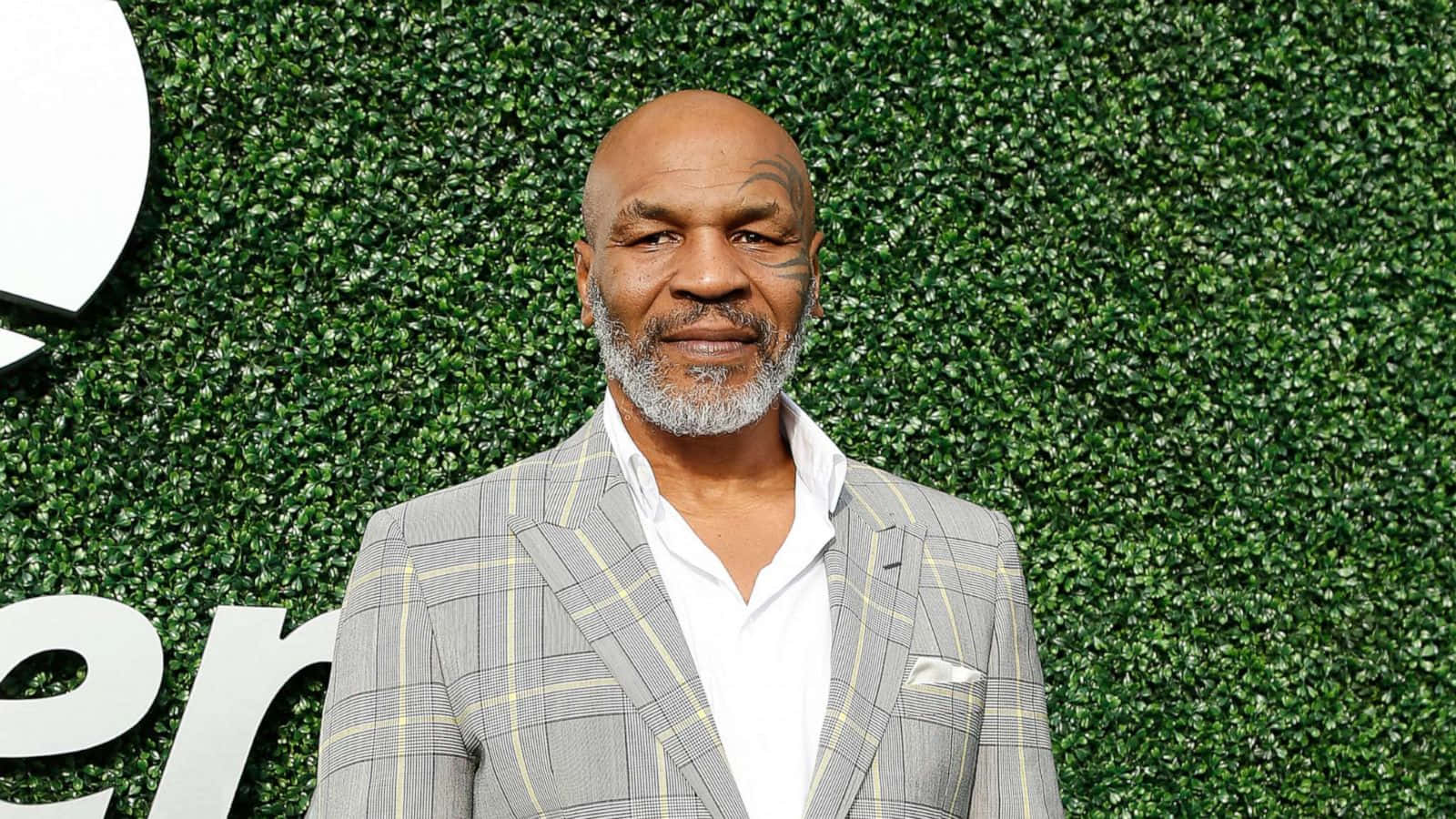mike tyson 桌布 壁紙 — Mike Tyson 自信地穿著灰色格紋西裝，站在茂密的綠色樹籬牆前，牆上有部分白色字樣。