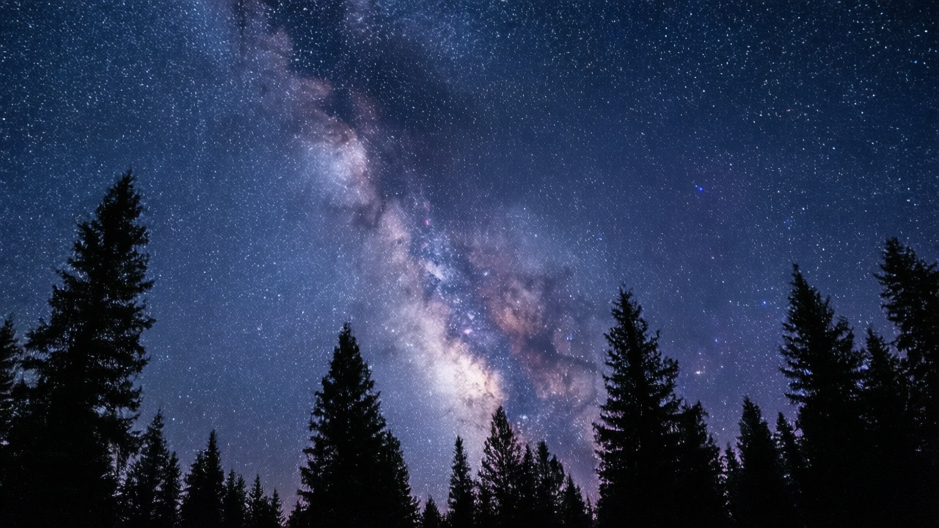 銀河系在黑暗的松樹剪影上方閃耀，星空下