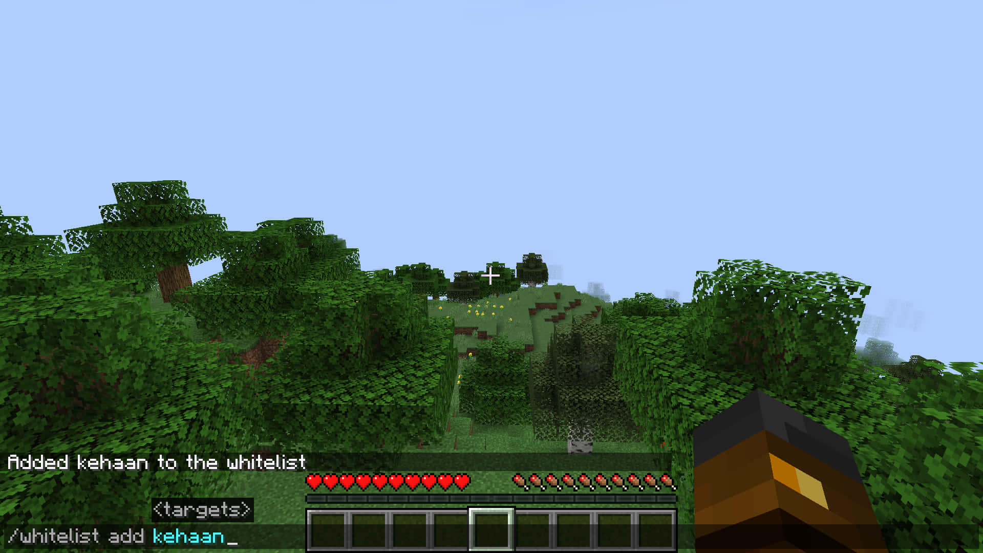 Minecraft Server 桌布 壁紙 — Minecraft 中的第一人稱視角，顯示茂密的綠色森林、玩家手部和遊戲 UI 疊加層。
