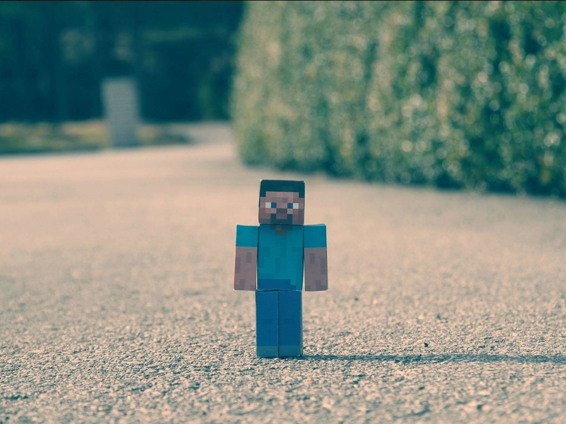 一個 Minecraft Steve 人偶在碎石路上，後面有綠色樹籬。