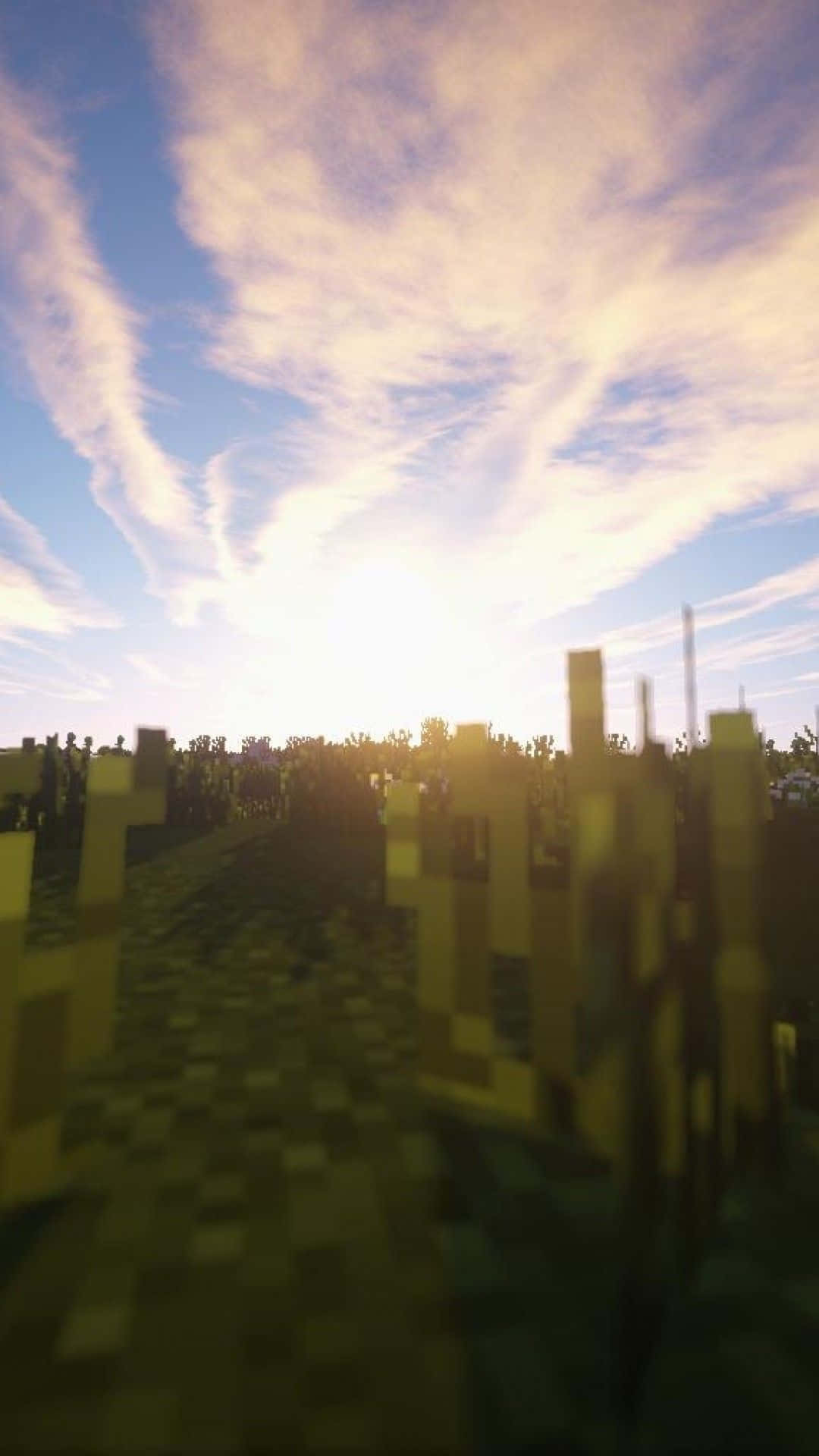 像素化的Minecraft田野在夕陽下，金色光芒與縷縷薄雲。