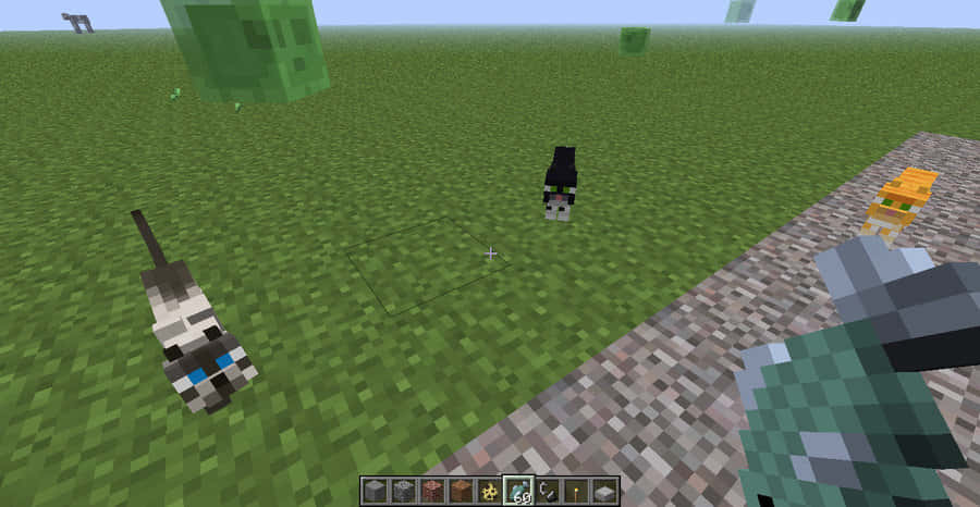 Minecraft Pocket Edition 桌布 壁紙 — Minecraft 第一人稱視角，顯示像素化草貓和手中鑽石劍。