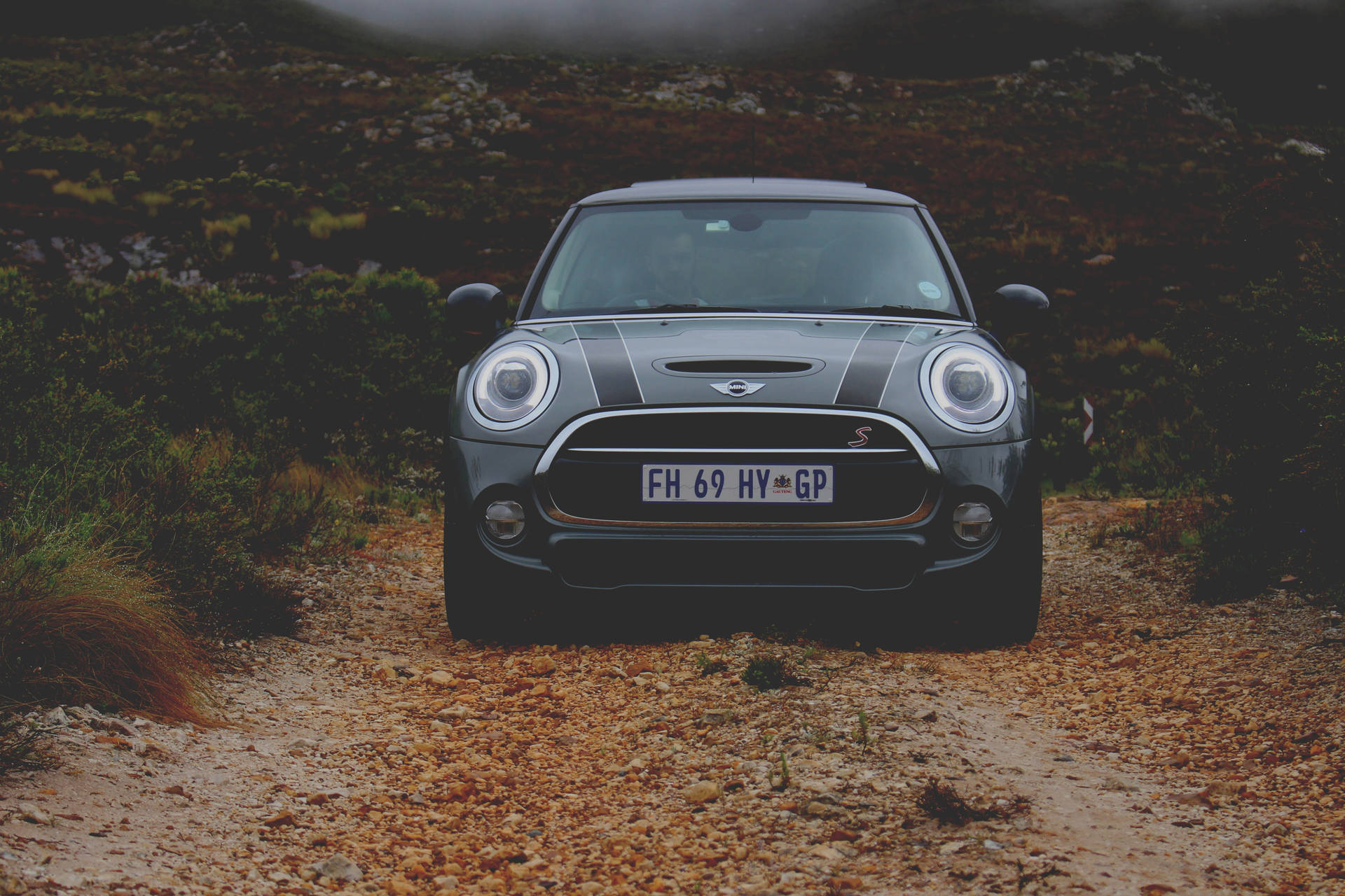 灰色MINI Cooper S停泊在霧氣瀰漫的自然環境中的碎石小徑上。