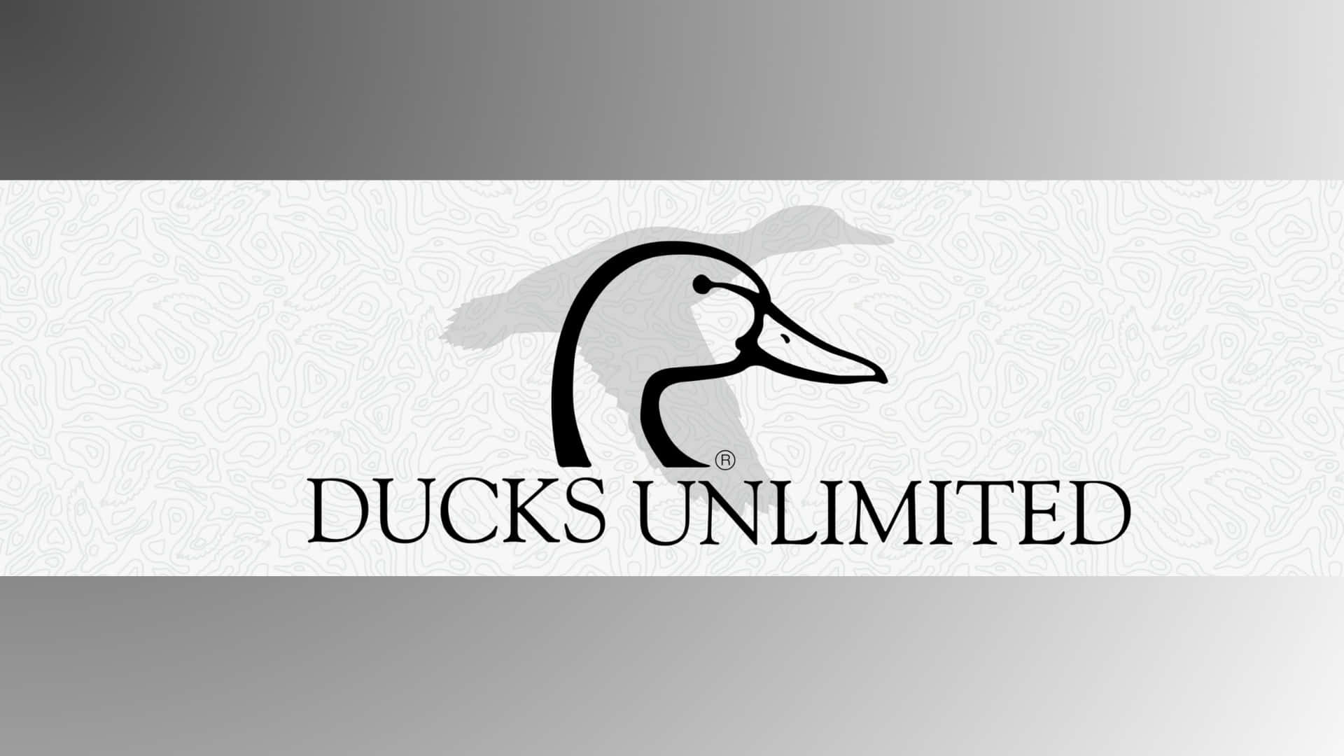  壁紙 — 一個極簡風格的黑色鴨子標誌，上面有「DUCKS UNLIMITED」文字，背景是帶紋理的灰色和白色。