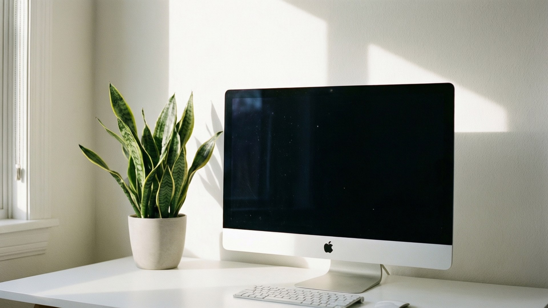 白色 iMac 和蛇植物在書桌上，陽光從窗戶射入。