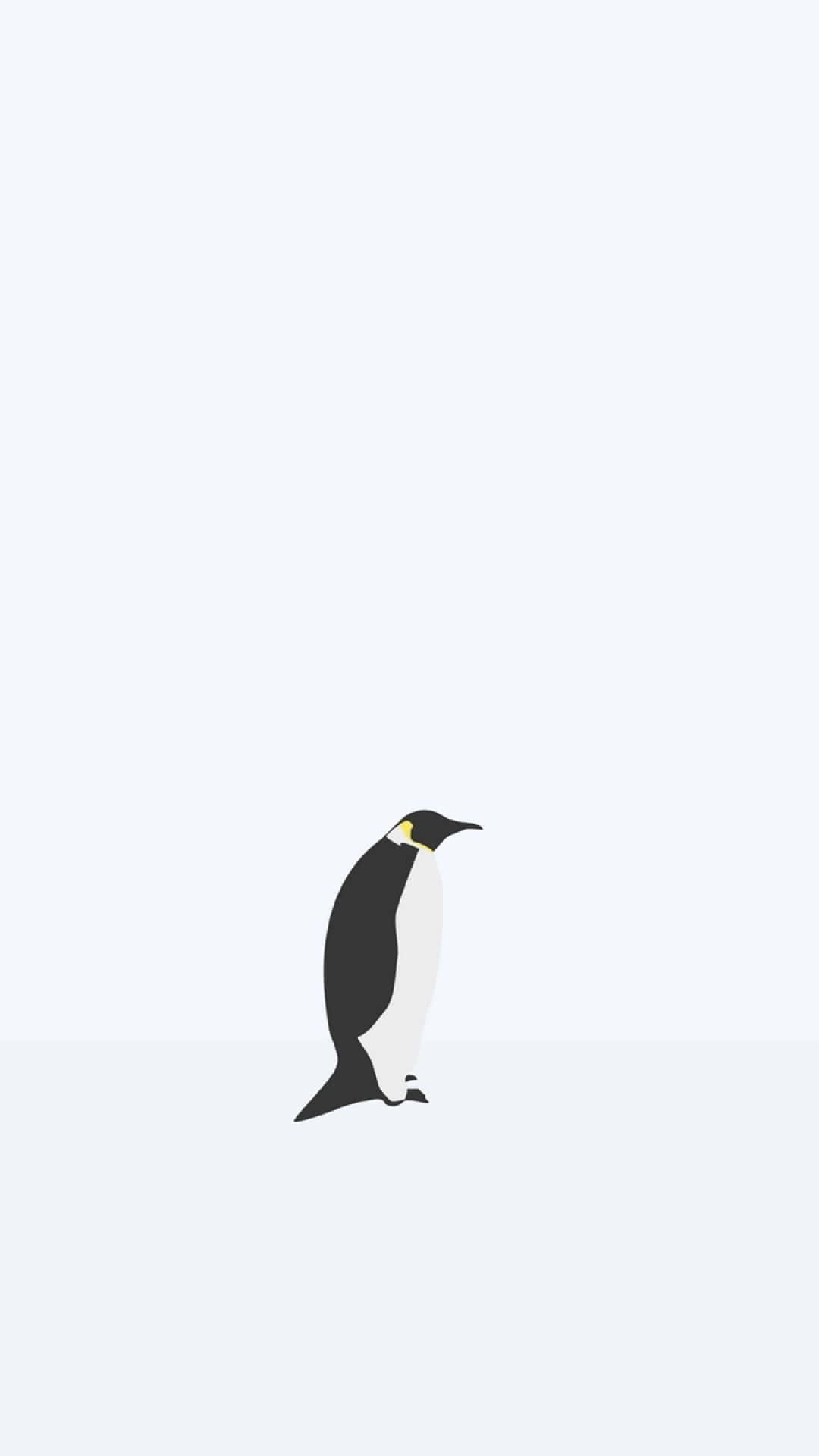 Minimalist Animal 桌布 壁紙 — 一隻企鵝獨自站在純淺灰色背景上的極簡插圖。