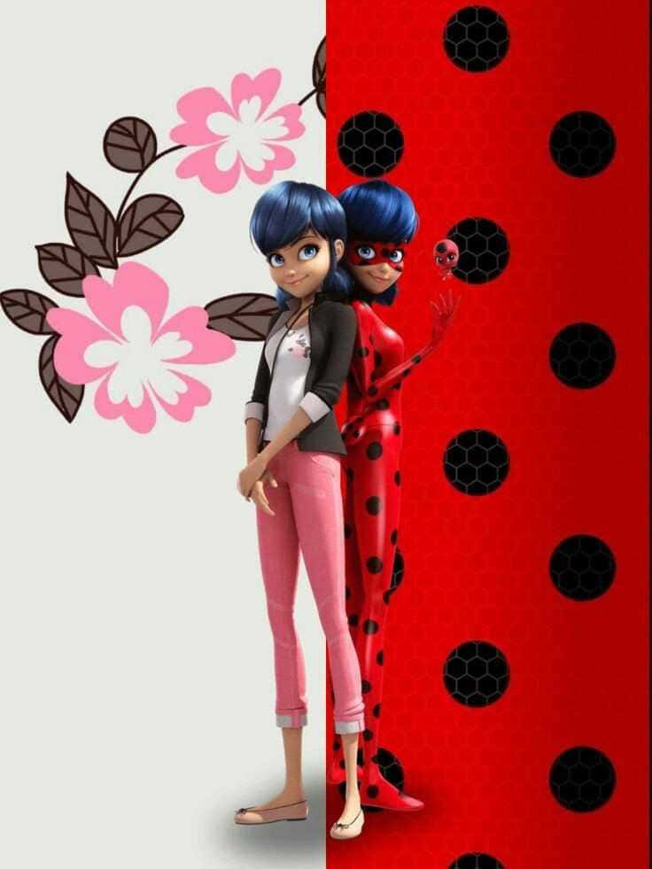 Miraculous Ladybug 背景 壁紙