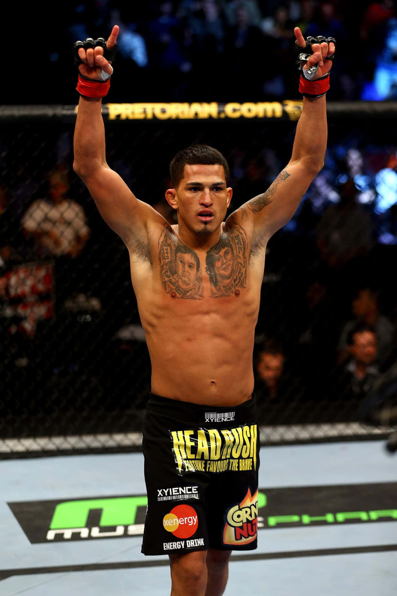 MMA拳手在八角籠內高舉雙拳慶祝勝利。
