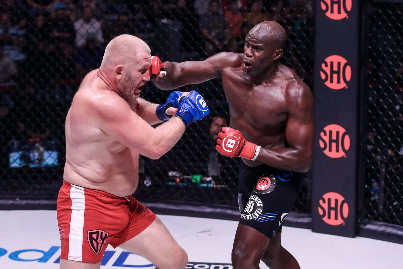 MMA選手Sergei Kharitonov於Bellator 265對決Cheick Kongo 壁紙 — 兩名肌肉發達的拳手在籠中激烈交鋒，其中一人在高風險的MMA比賽中向對方臉部打出強力一拳。