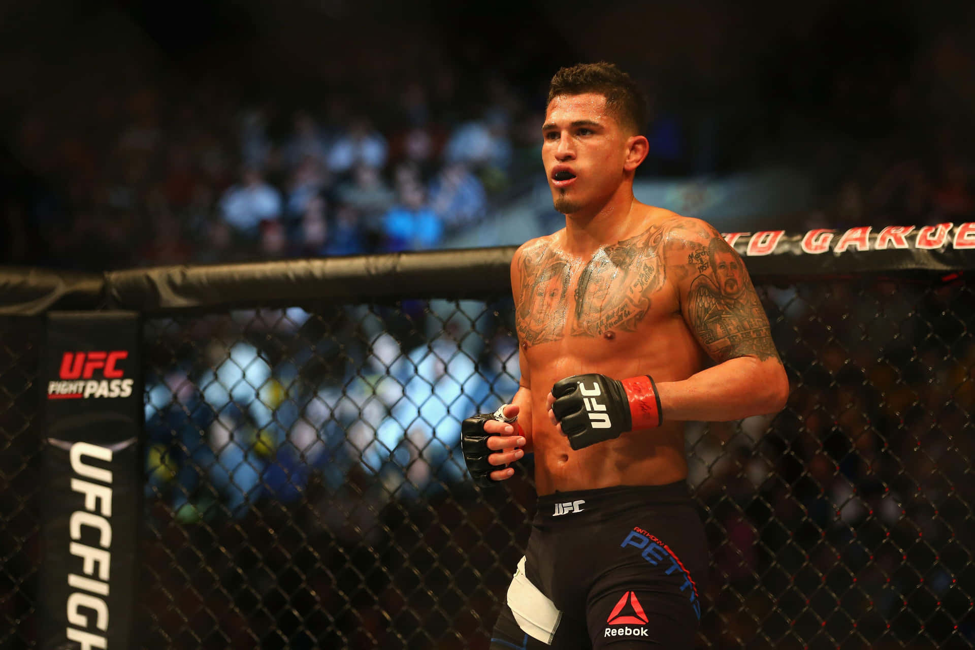 一位有紋身、赤裸上身的MMA選手在UFC八角籠內戴著手套和短褲。