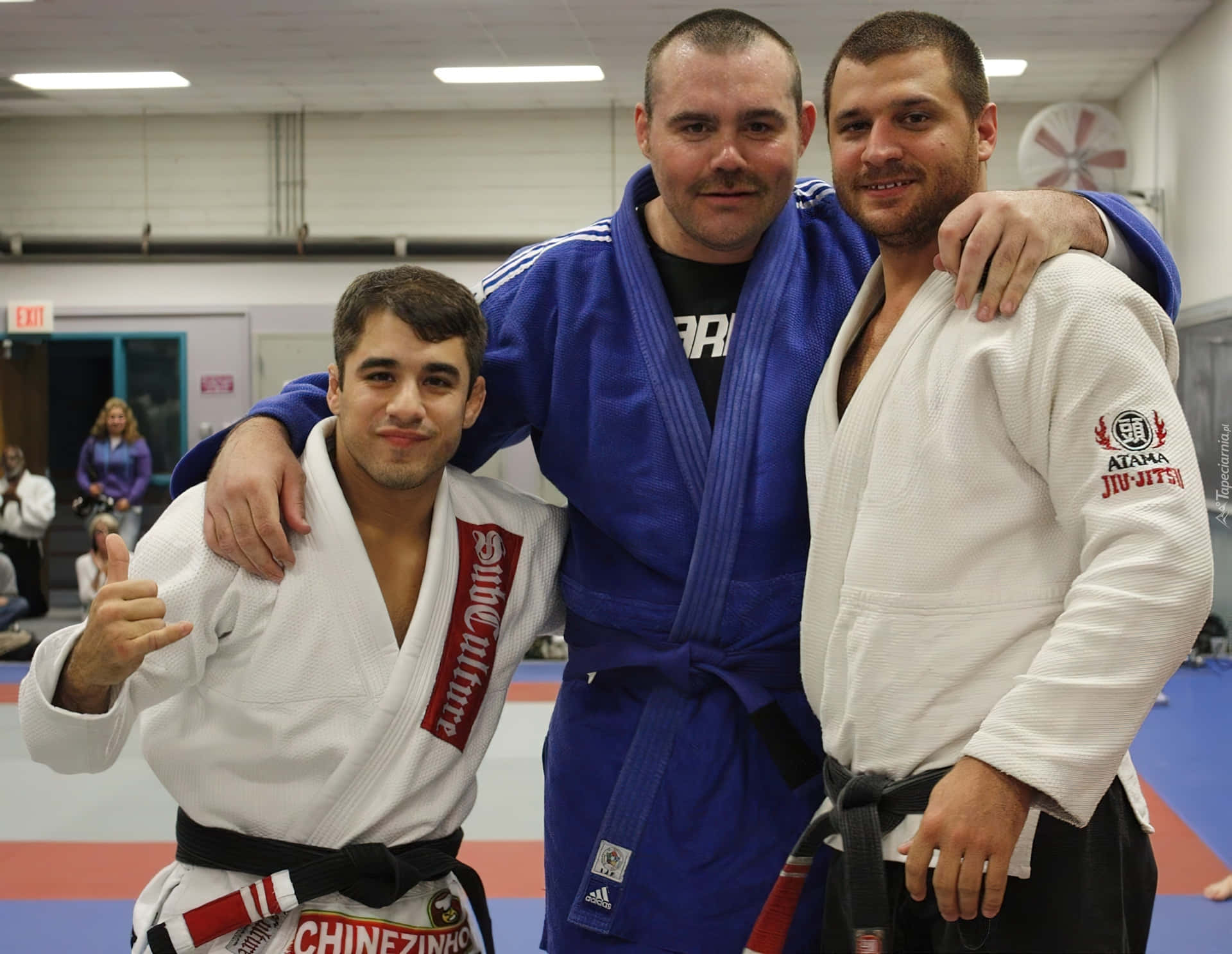 MMA選手蒂姆·西爾維亞與布洛克·萊斯納 壁紙 — 三位微笑的柔道選手穿著柔道服，在道場墊子上互相搭肩合影。