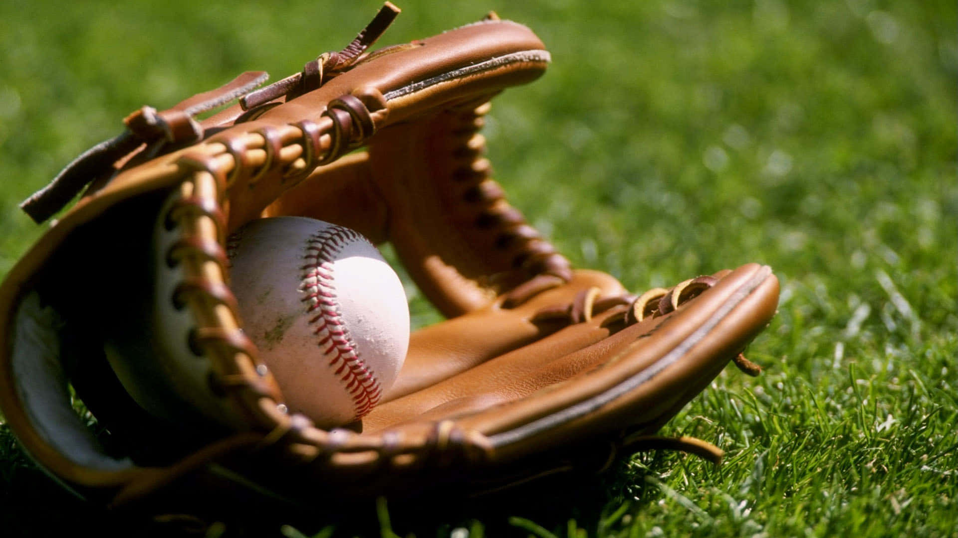 Baseball Gloves 桌布 壁紙 — 一隻磨損的棕色棒球手套，在鮮綠色的草地上，托著一個帶有紅色縫線的白色棒球，在明亮的陽光下。