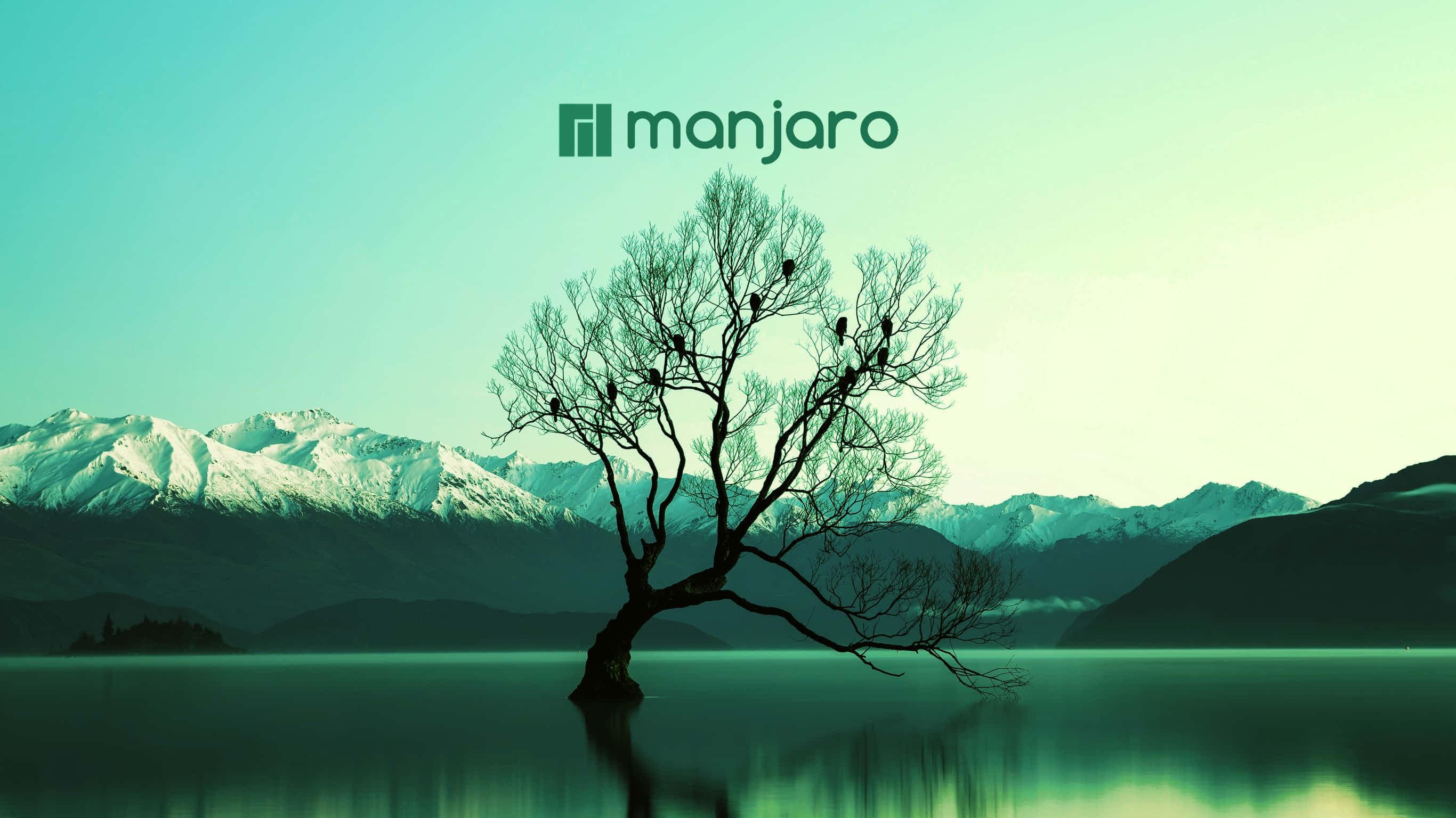Monjaro 標誌與自然風景 壁紙 — 一棵孤獨的禿樹矗立在平靜的水面上，背景是白雪覆蓋的山脈，天空呈青綠色。