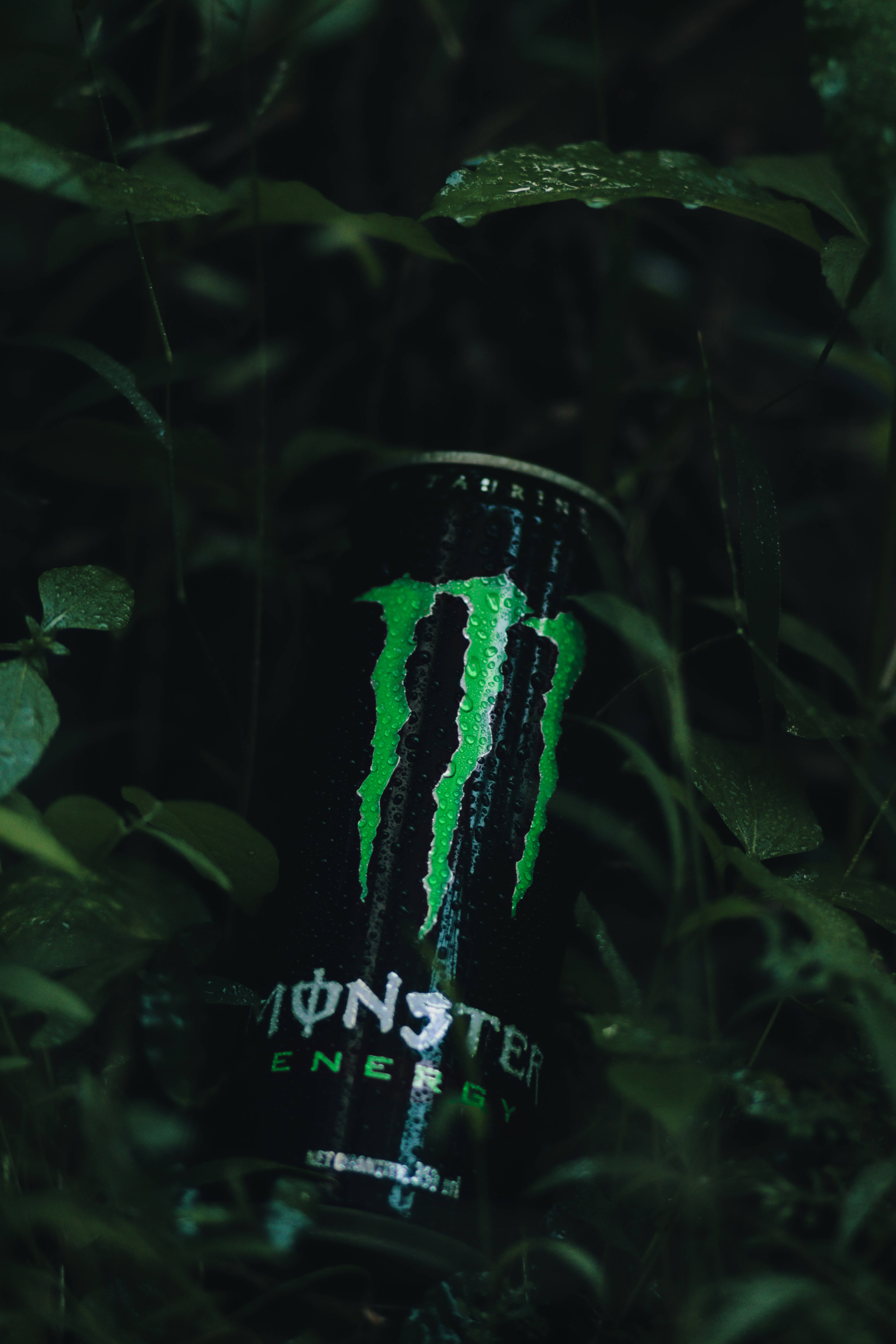 Monster Energy能量飲料與葉子 壁紙 — 在昏暗森林光線下，一個發光的綠色Monster Energy罐藏在潮濕的深色樹葉中。