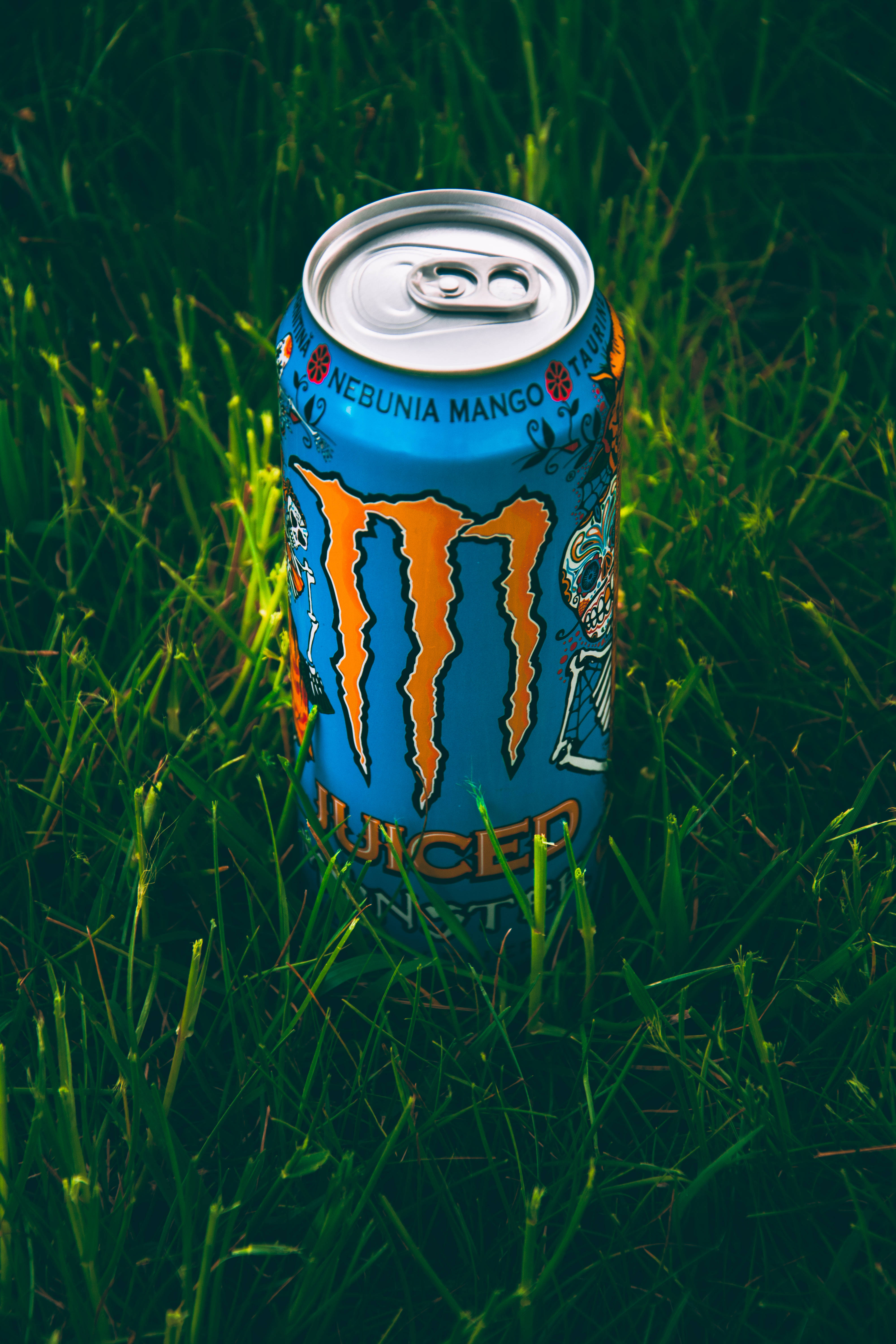 Monster Energy能量飲料放在草地上 壁紙 — 一個藍色和橙色的Monster Energy罐在自然光下直立於茂密的綠草中。