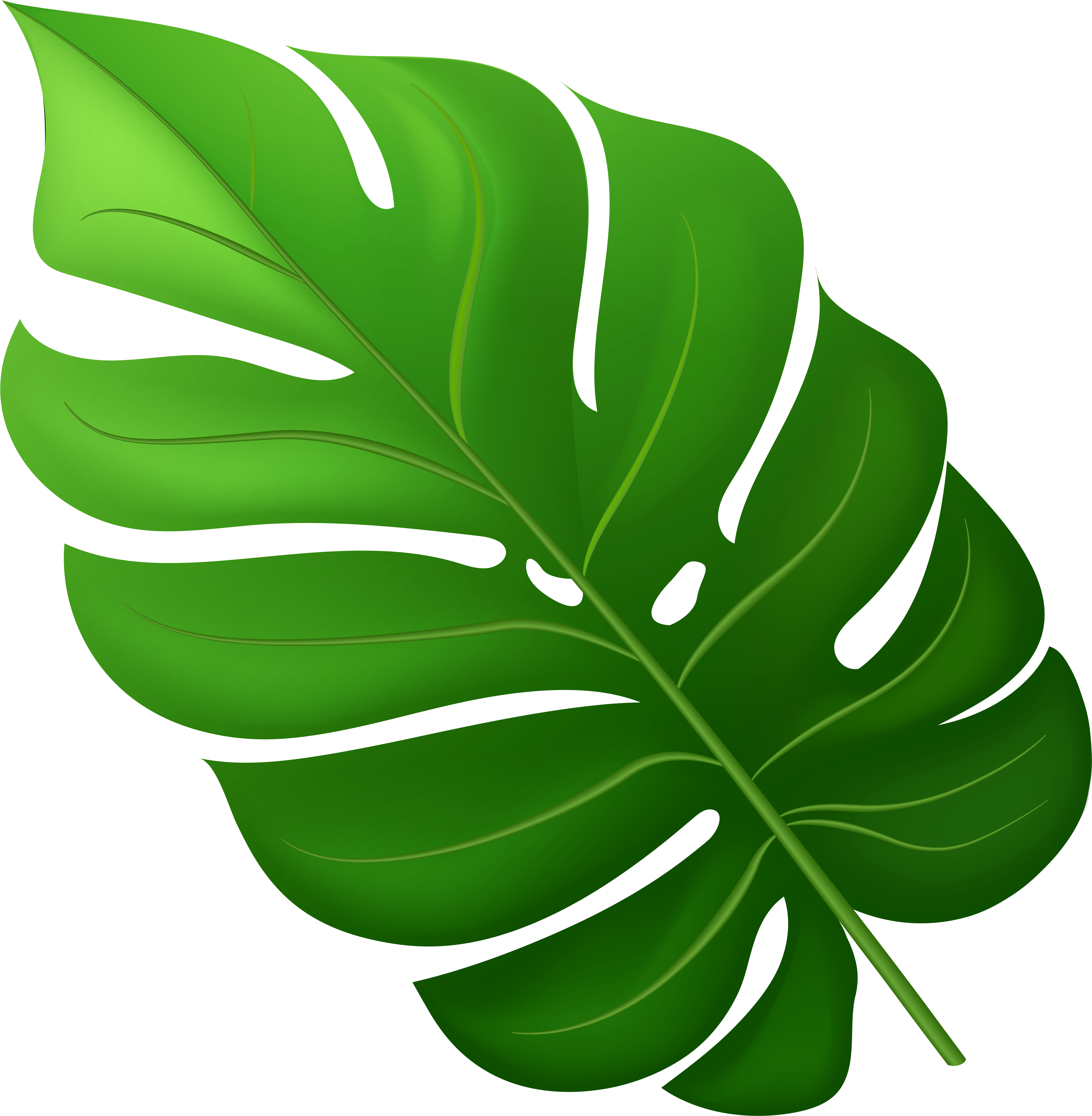 Monstera Deliciosa葉片插畫 壁紙 — 一片充滿活力的綠色龜背竹葉，帶有鮮明的裂口和葉脈，在純黑色背景上脫穎而出。