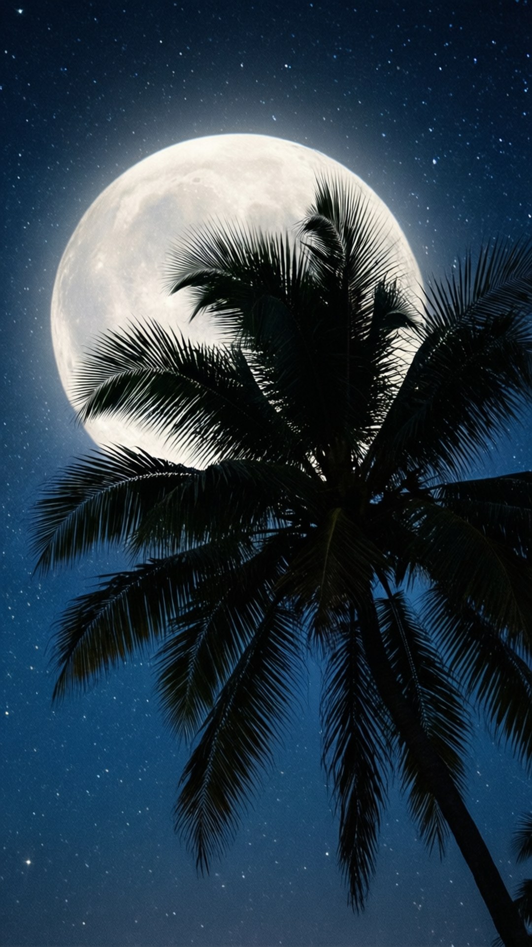 棕櫚樹剪影在繁星點點的夜空下，襯托著一個巨大的滿月