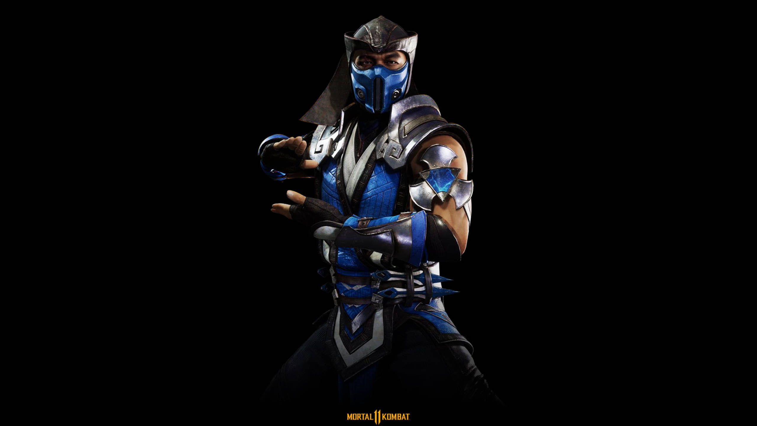 Mortal Kombat 11 Sub-Zero遊戲封面 壁紙 — 一位戴著藍色面具的武術家穿著裝甲服裝，在黑色背景前擺出戰鬥姿勢。