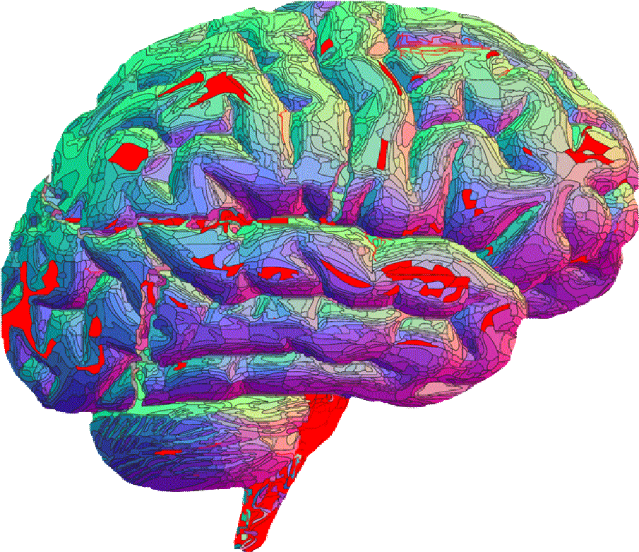 彩色腦部 MRI 扫描圖 壁紙 — 一個色彩繽紛的3D渲染人腦，在黑色背景上帶有發光的紅色和紫色神經通路。
