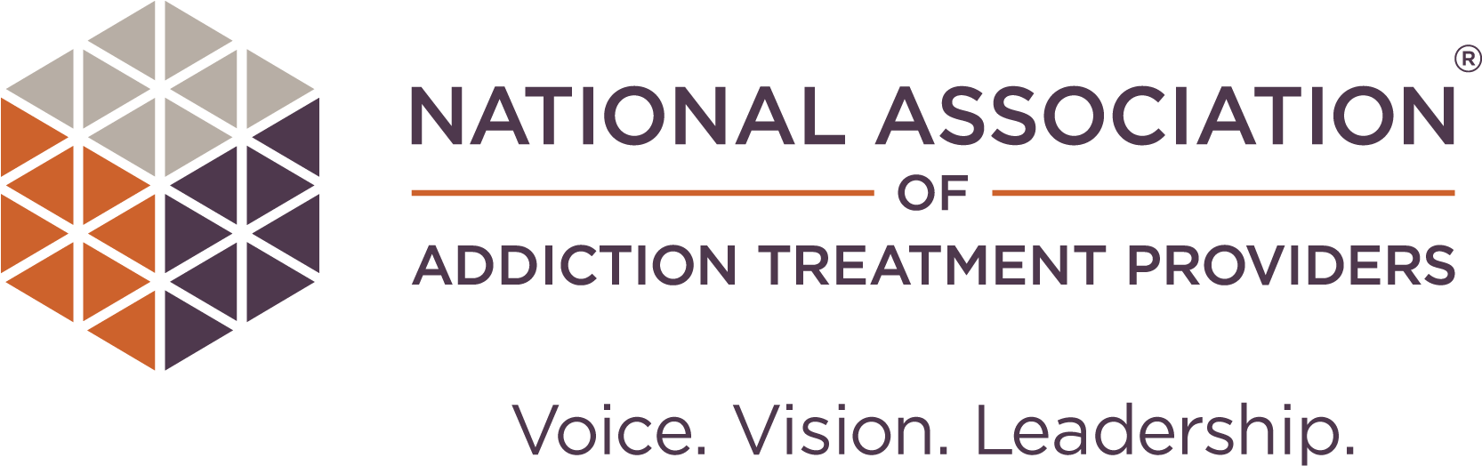 N A A T P 聲音、視野、領導力標誌 壁紙 — National Association of Addiction Treatment Providers 的時尚標誌，採用幾何立方體，帶有橙色、灰色和紫色三角形，以及黑色背景上的紫色文字。