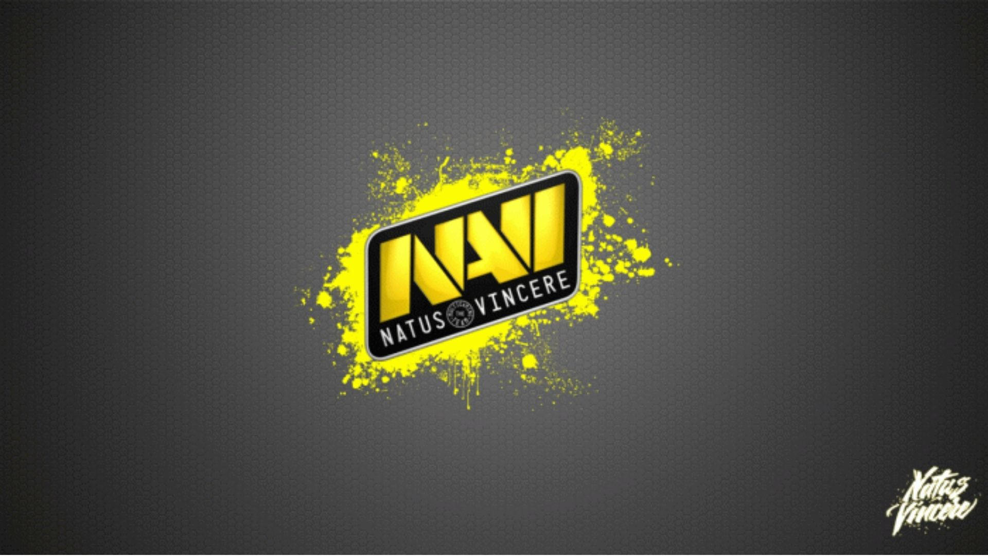 Natus Vincere 背後的油漆飛濺 壁紙 — 大膽的黃色Natus Vincere標誌在深灰色紋理背景上濺滿油漆。