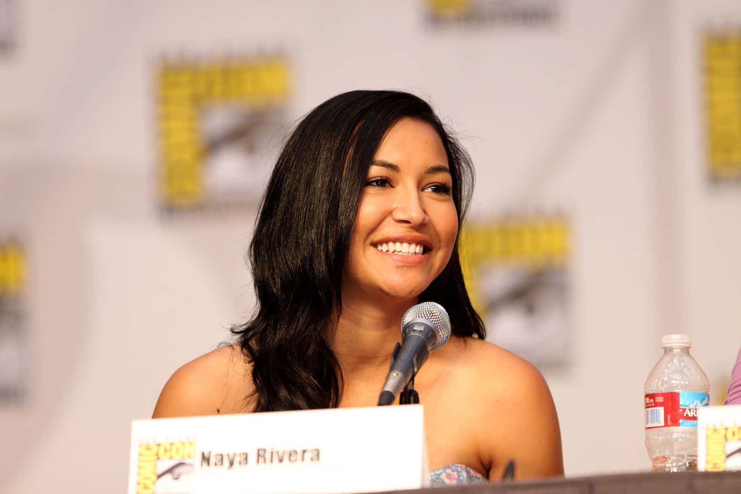  壁紙 — Naya Rivera 在Comic-Con座談會上，面前放著咪高峰和名牌，露出溫暖的笑容。