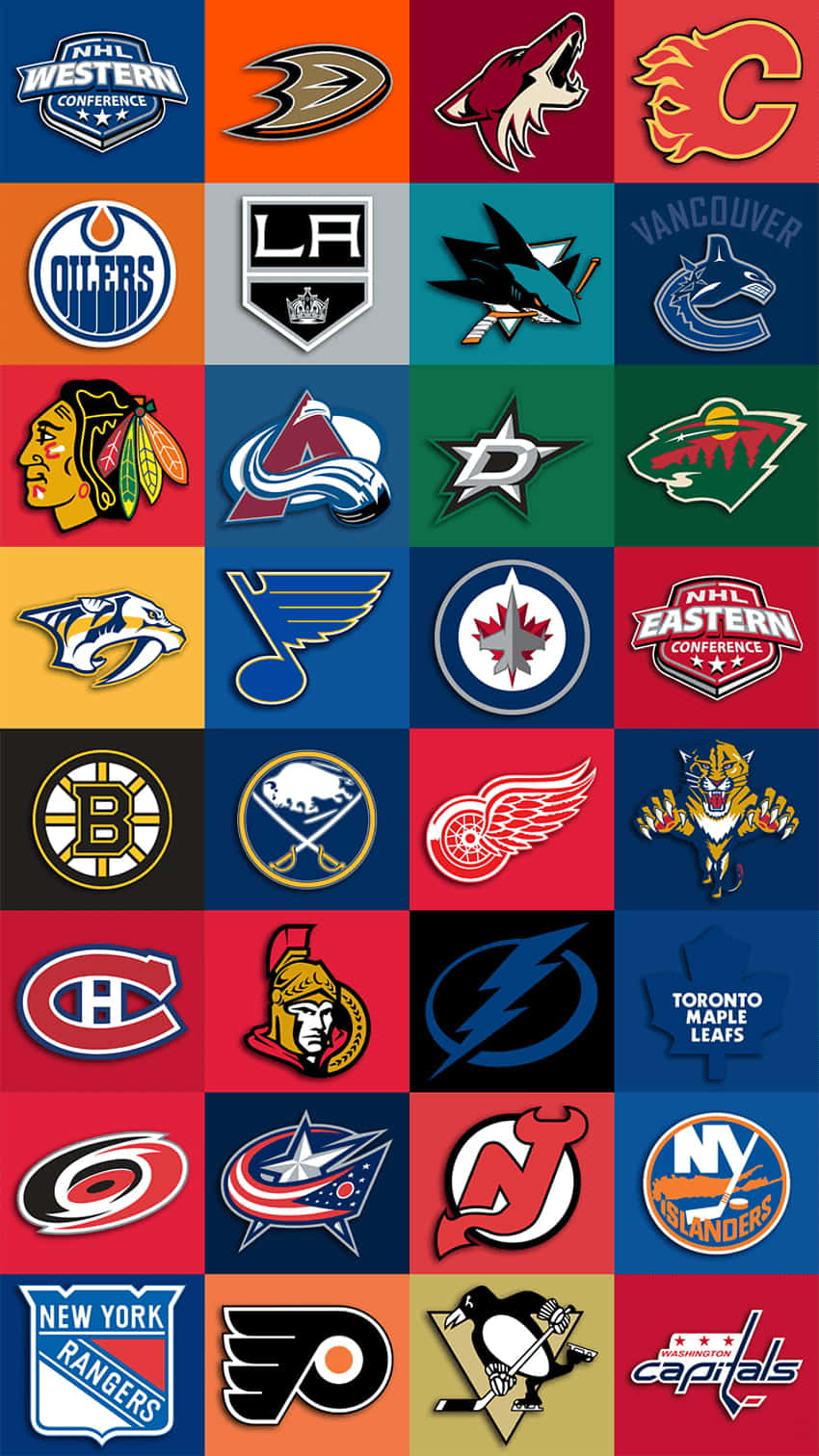 色彩和風格鮮豔的NHL冰球隊標誌網格。
